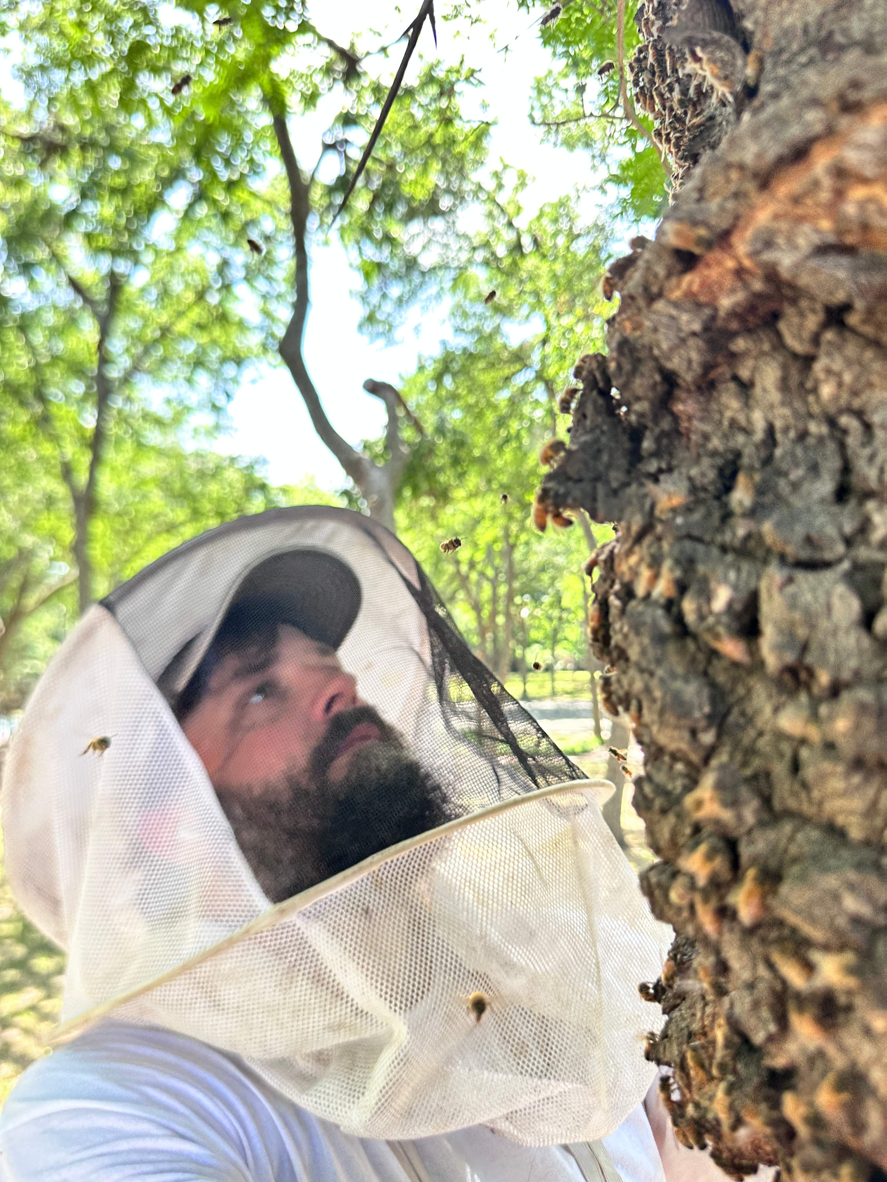 Two More Trees, One More Yard by Rockwall Honey Bee Company