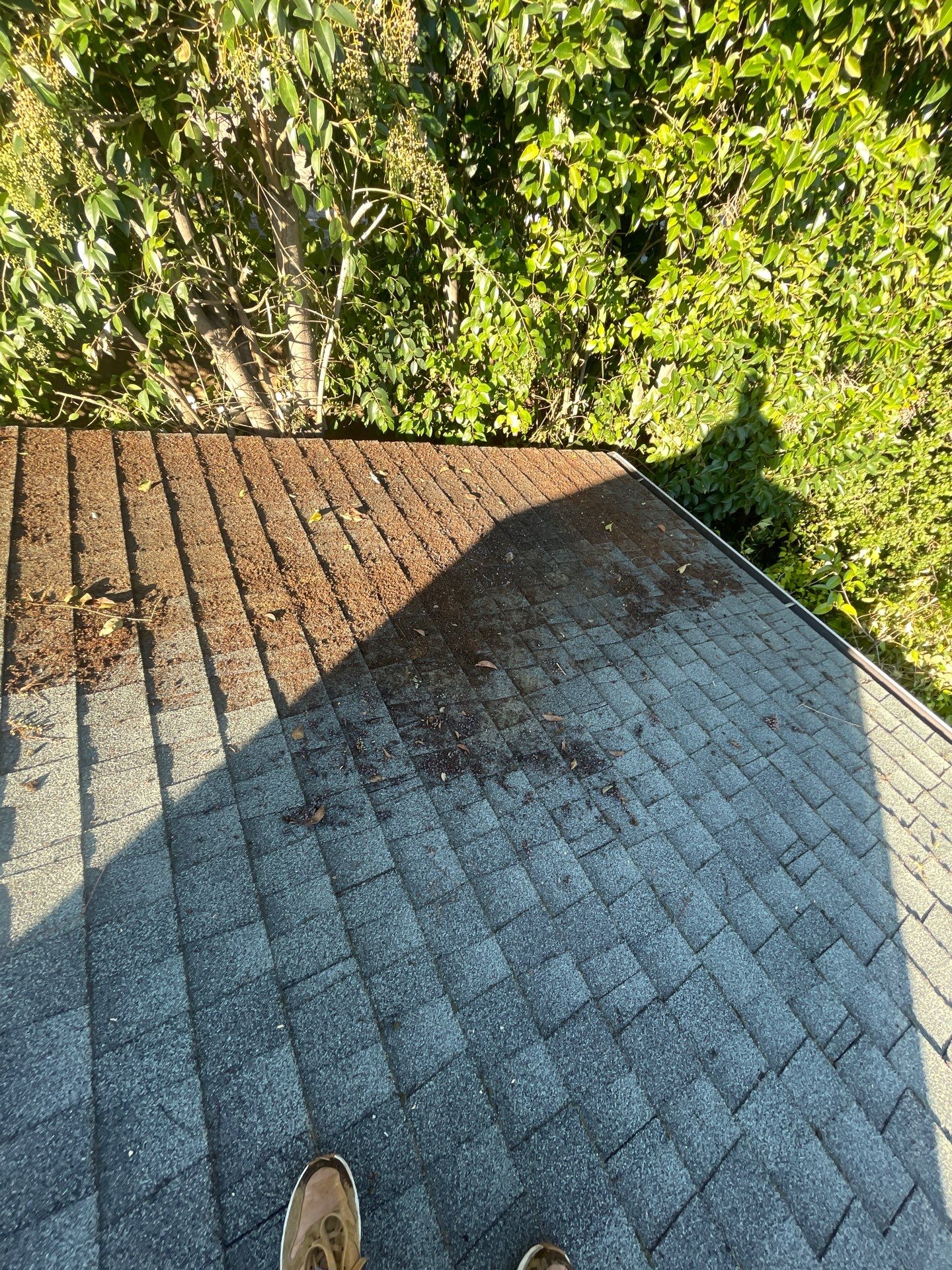 Roof Rejuvenation using Roof Maxx Treatment by Roof Maxx of Folsom