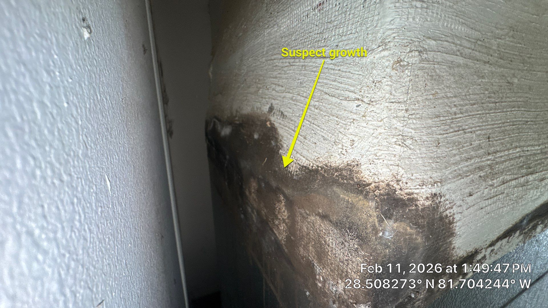 Air Duct Cleaning Dryer Vent Repair Sealed Plenum Clermont by Hygienic Air, Inc