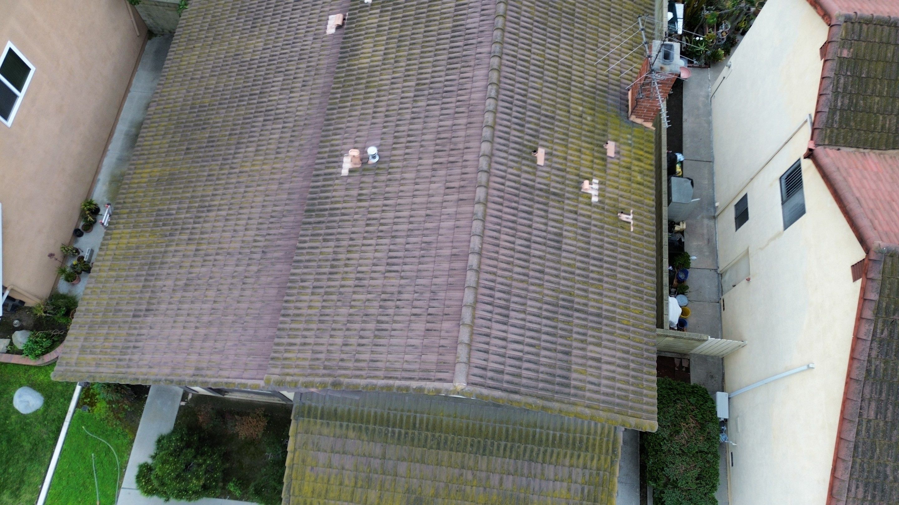 Roof Cleaning SAFECO by Pirate Pete’s Power Washing