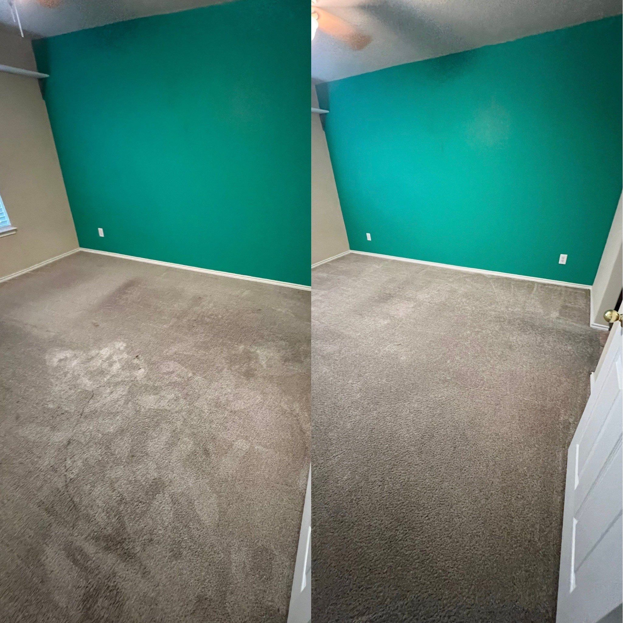 the service being done is deep cleaning of carpeted flooring in a room with a teal wall