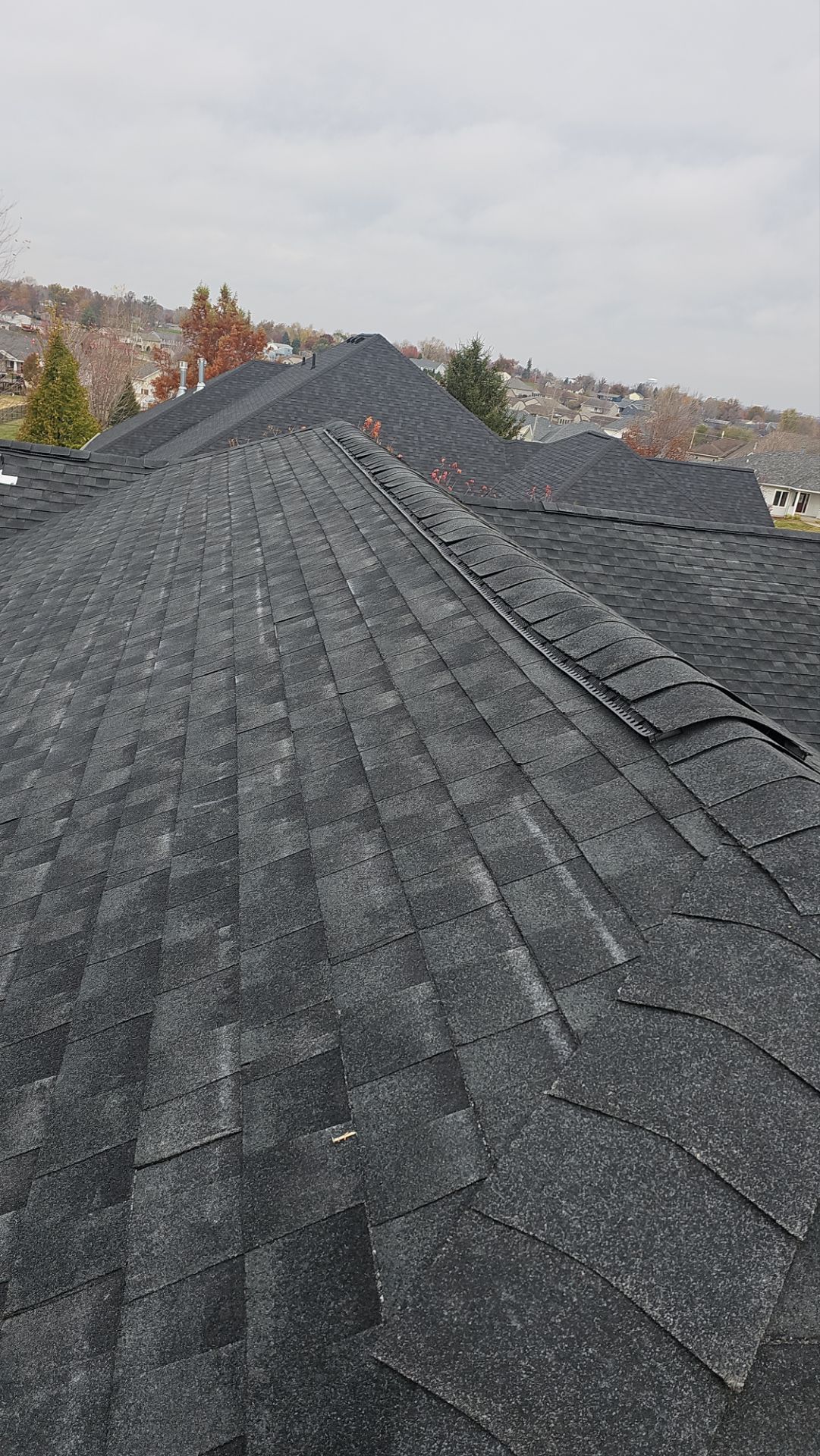 GAF HDZ  by Waddle Exteriors