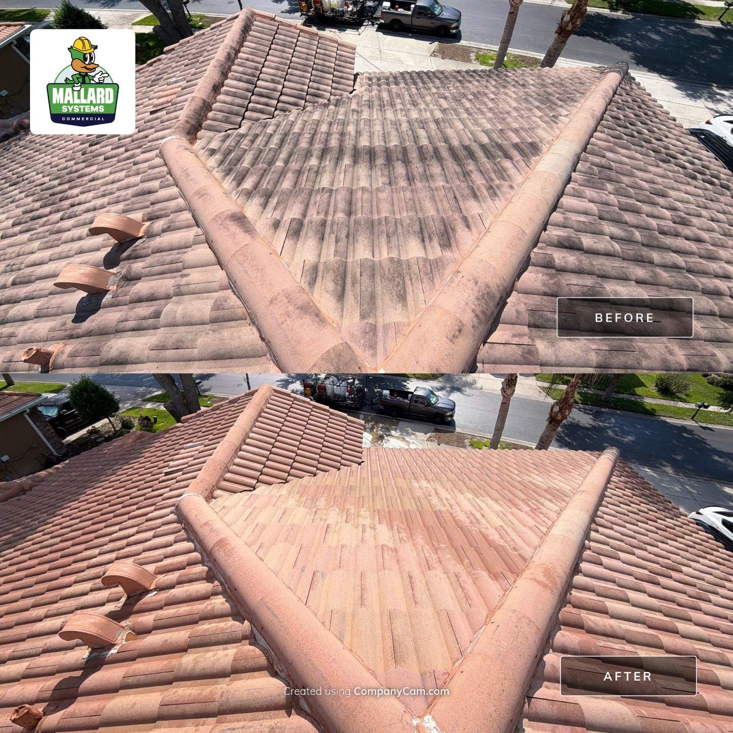Roof Cleaning  by Mallard Systems