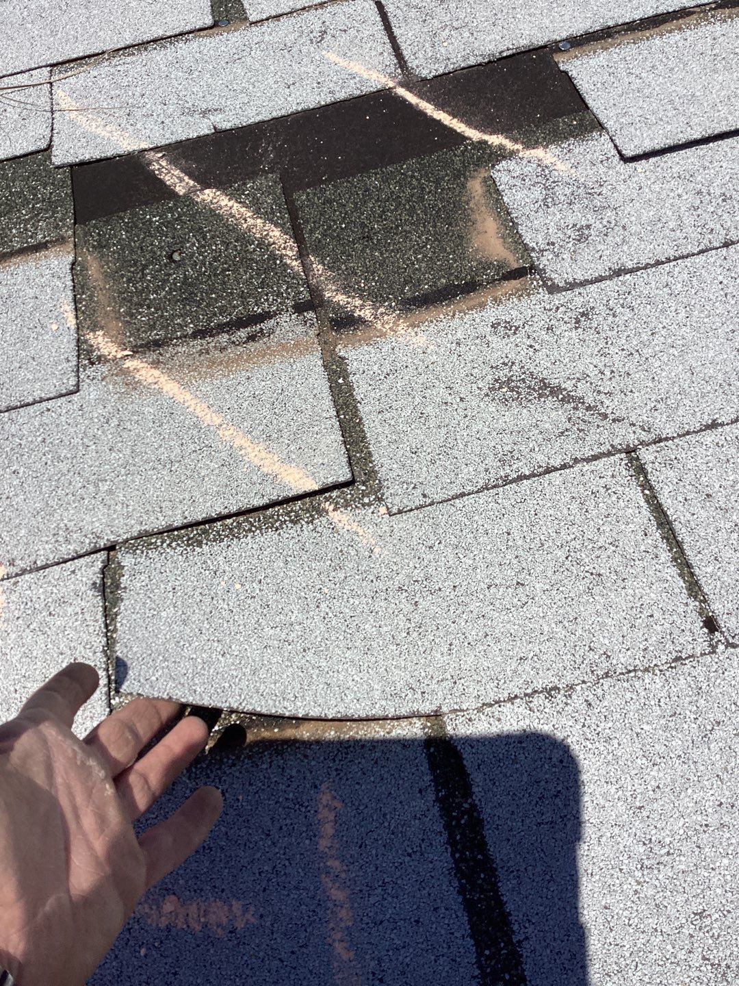 Scherie's Full Re-Roof (Energy Star)  by All Storm Roofing & Construction