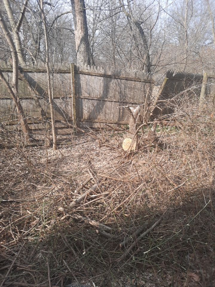 Tree Removal using Tree Removal by Mike Jones & Sons Tree Service LLC 