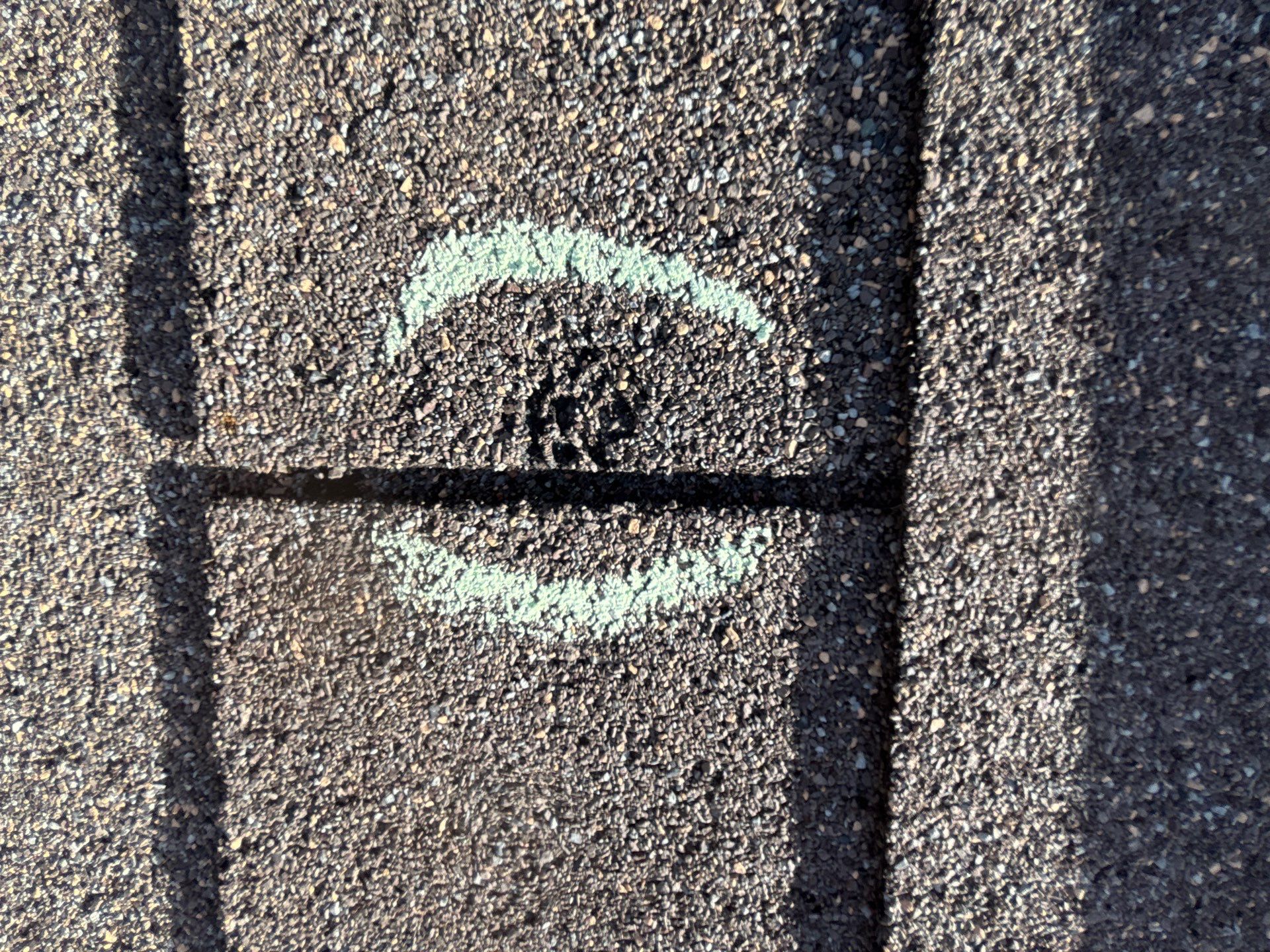 Brent M by Boss Hogg Roofing