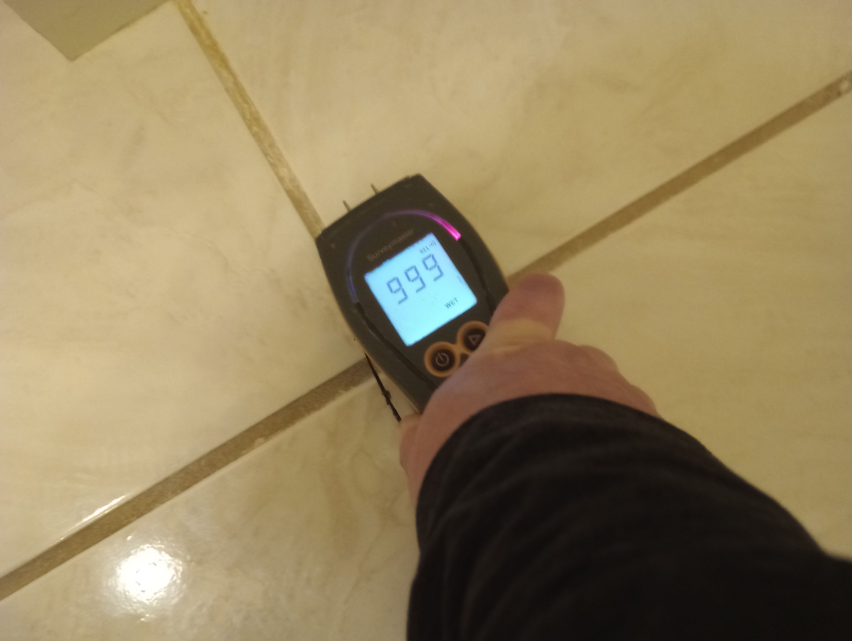 Mold Remediation and Water Mitigation in Louisville, KY by ANR Restoration