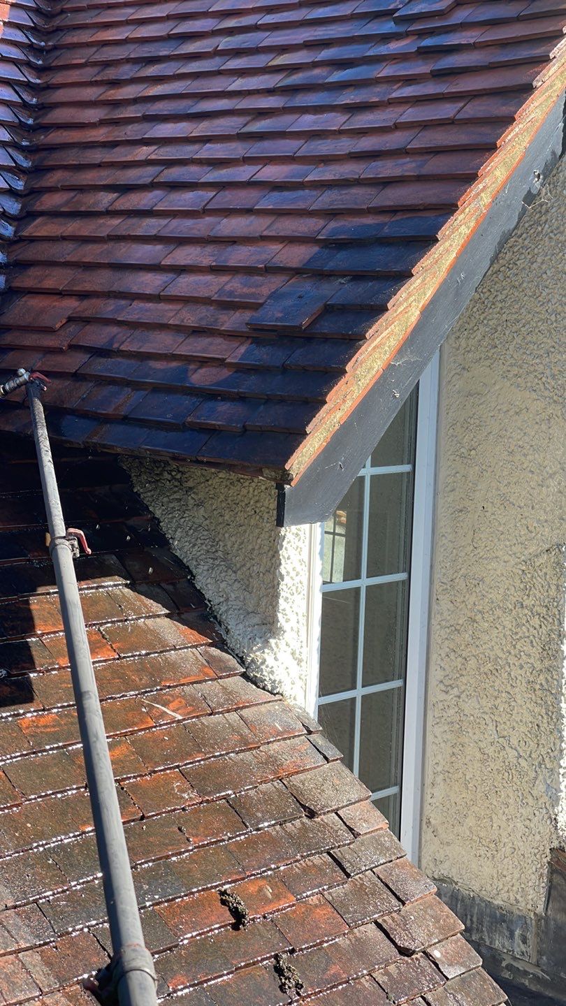 Roof Clean - Biocide Treatment using Honda 15lpm Low Pressure Washing Machine by Ges Exterior Cleaning ltd