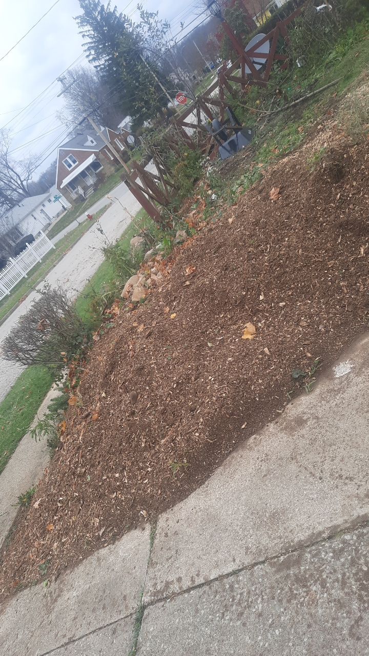 Tree Removal using Tree Removal by Mike Jones & Sons Tree Service LLC 