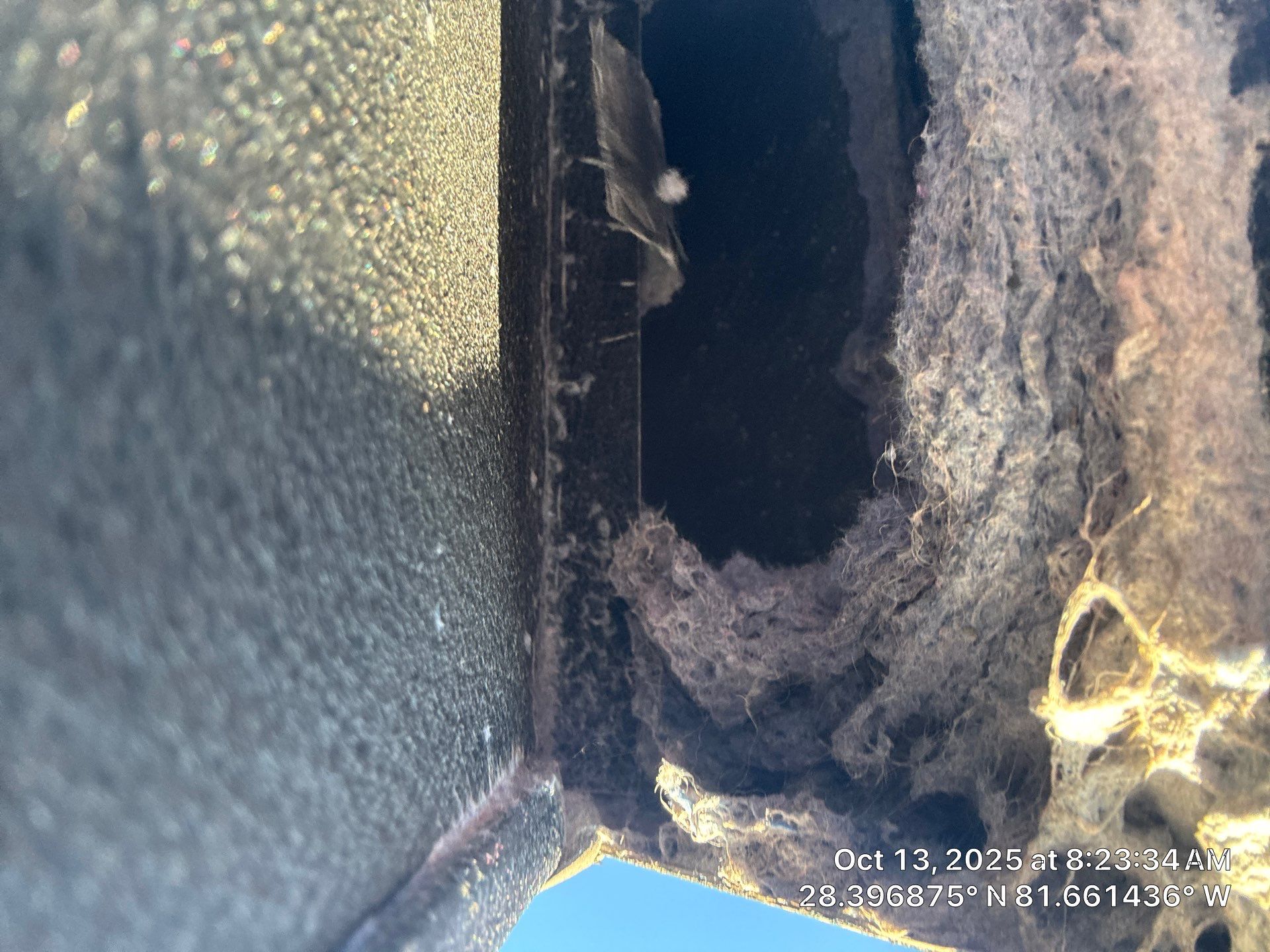 Dryer Vent Cleaning in Clermont by Hygienic Air, Inc
