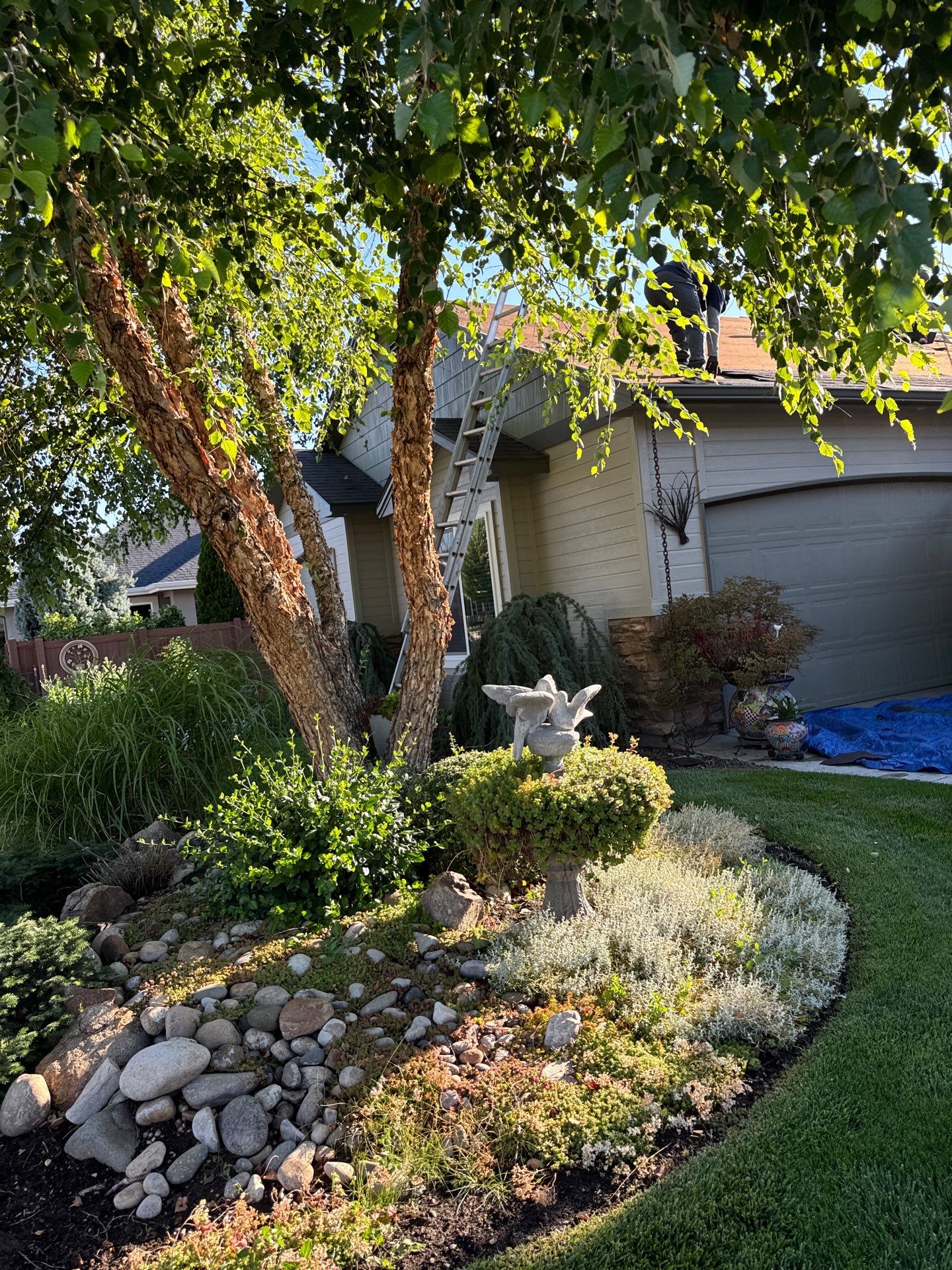 Full Residential Roof Replacement With Architectural Shingles In Meridian by Olive Roofing