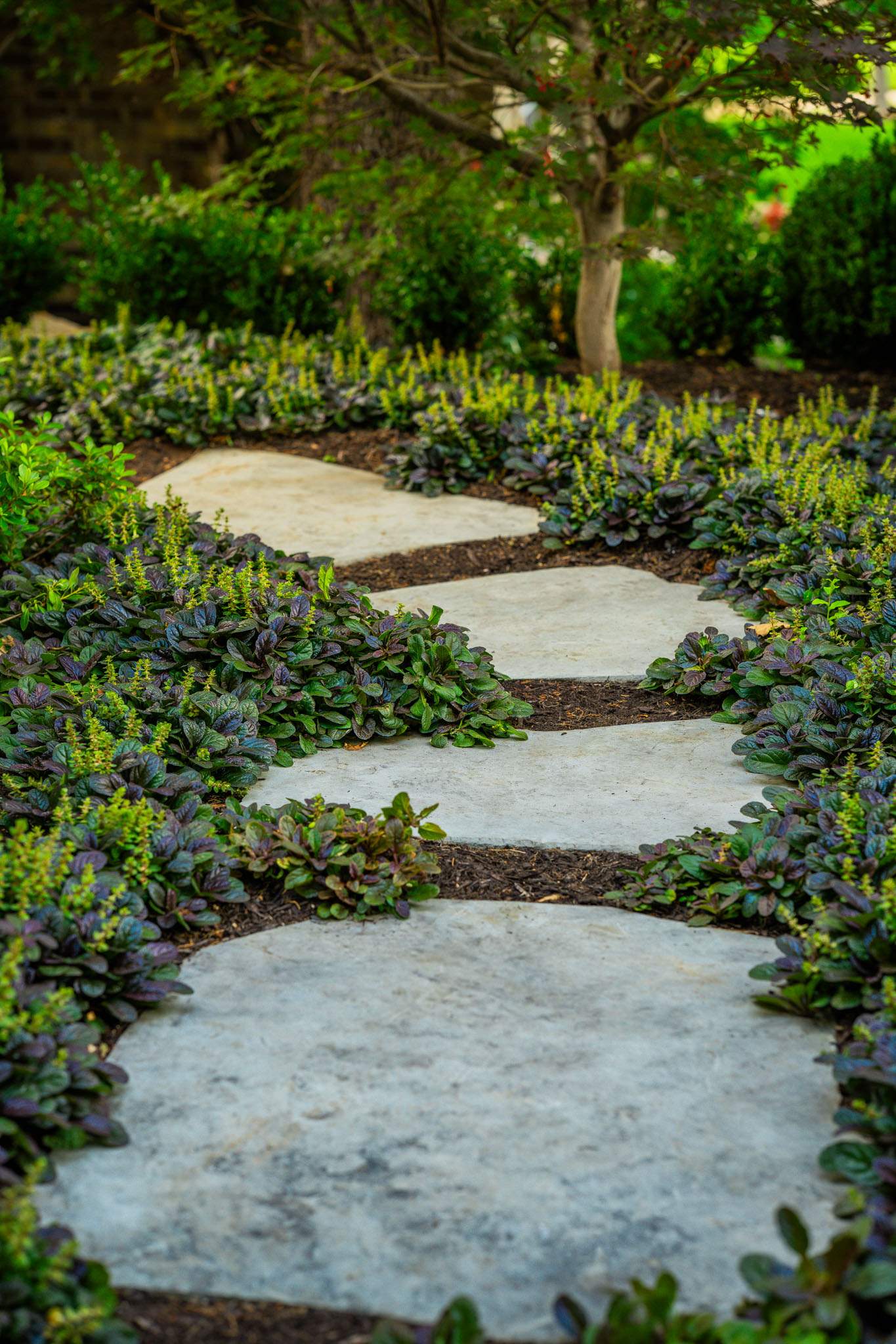Southern Charm: Revitalizing a Cottage Garden by Complete Exterior Solutions