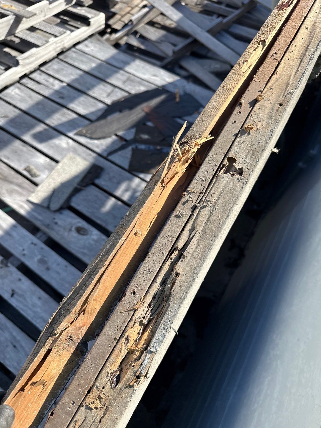 Project in Largo 33771 by Mitchell Roofing Company LLC
