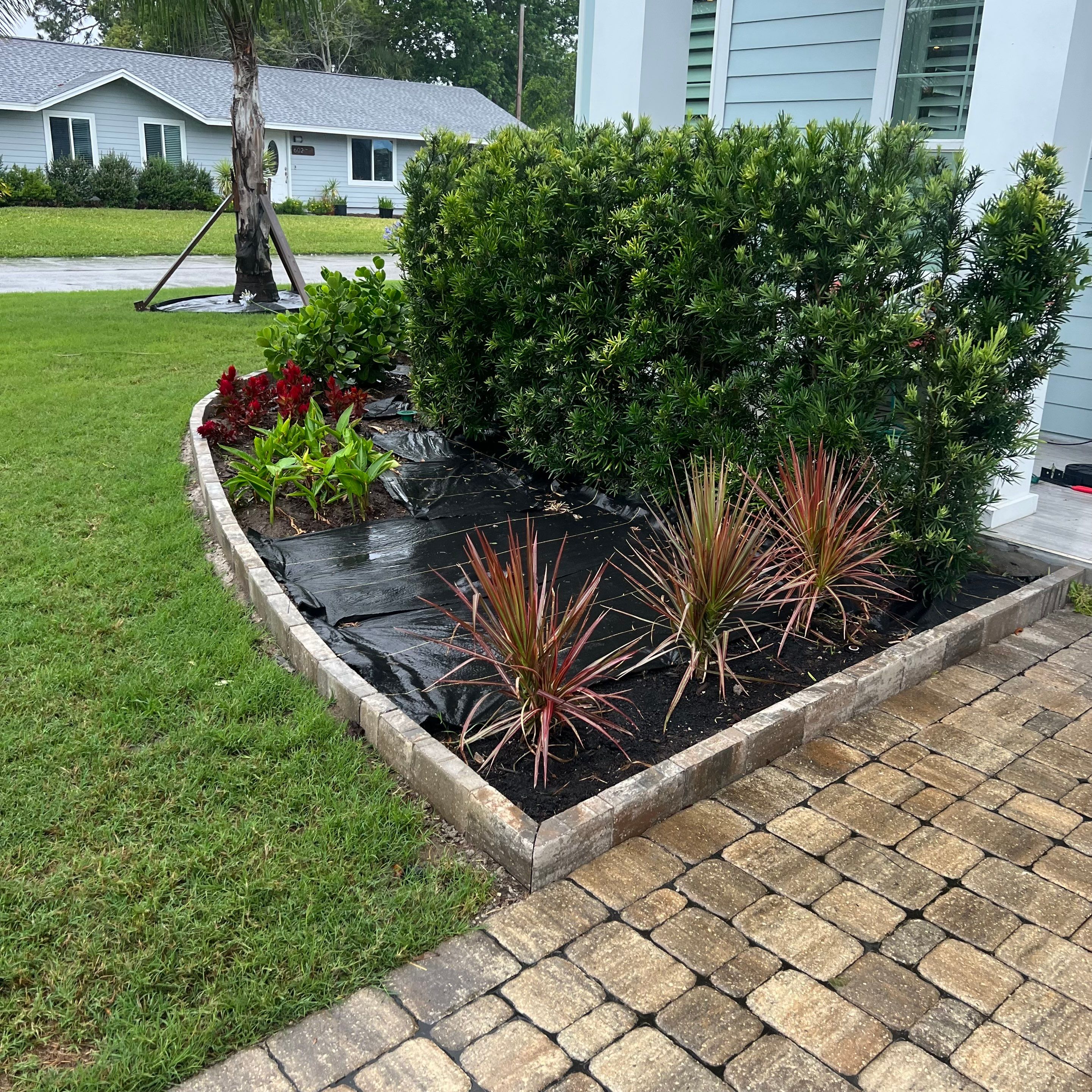 Rock & Agave Installation | Residential by ProGreen Services