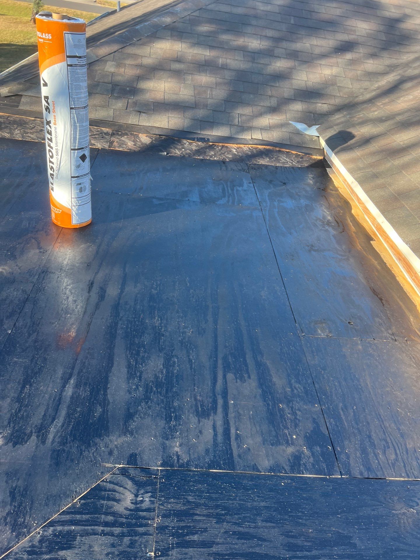 It Ain't Easy getting Shady  by Bayfront Roofing and Construction