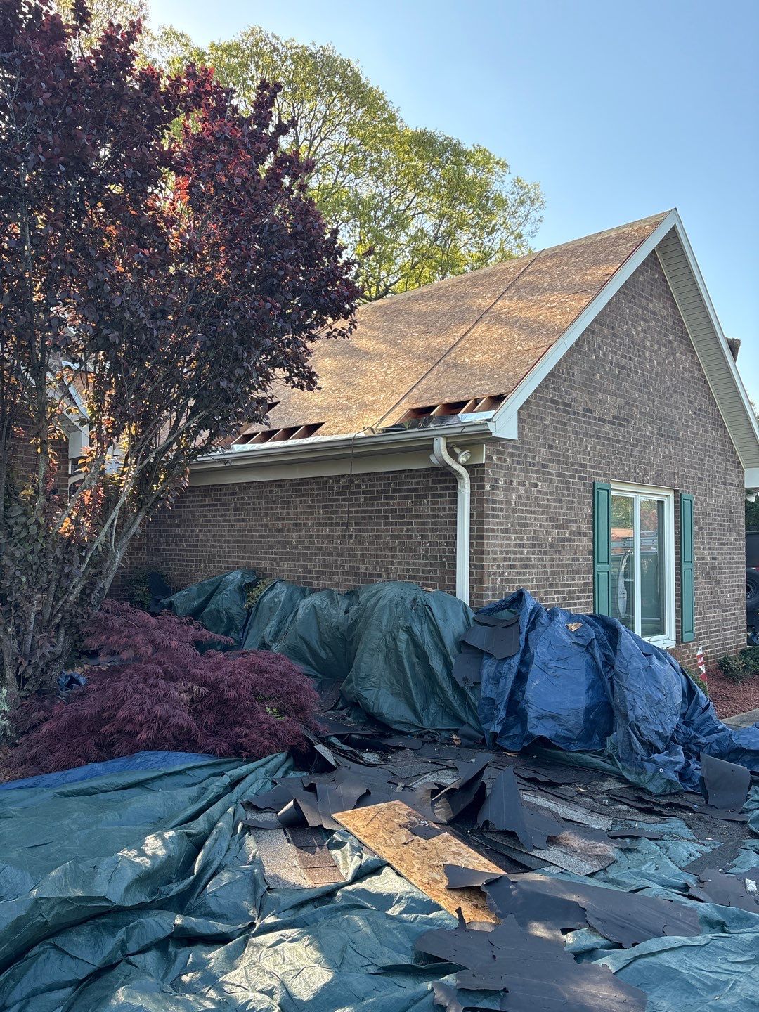 Residential Roofing Installation using TAMKO TITAN XT Rustic Black by RISE Roofing & Restoration, LLC