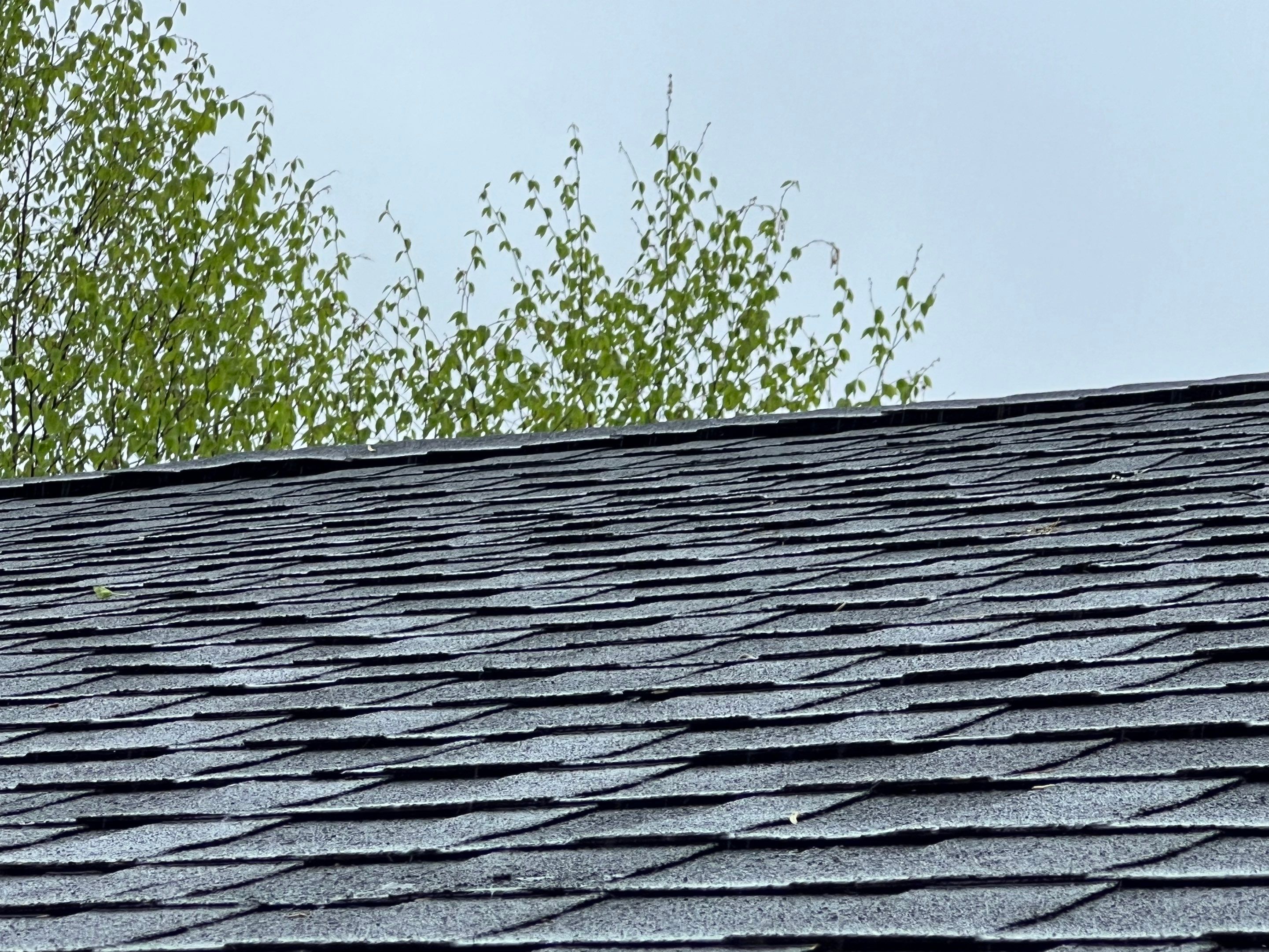 Gutters & Roofing | Acton by Mighty Dog Roofing of Greater Middlesex County