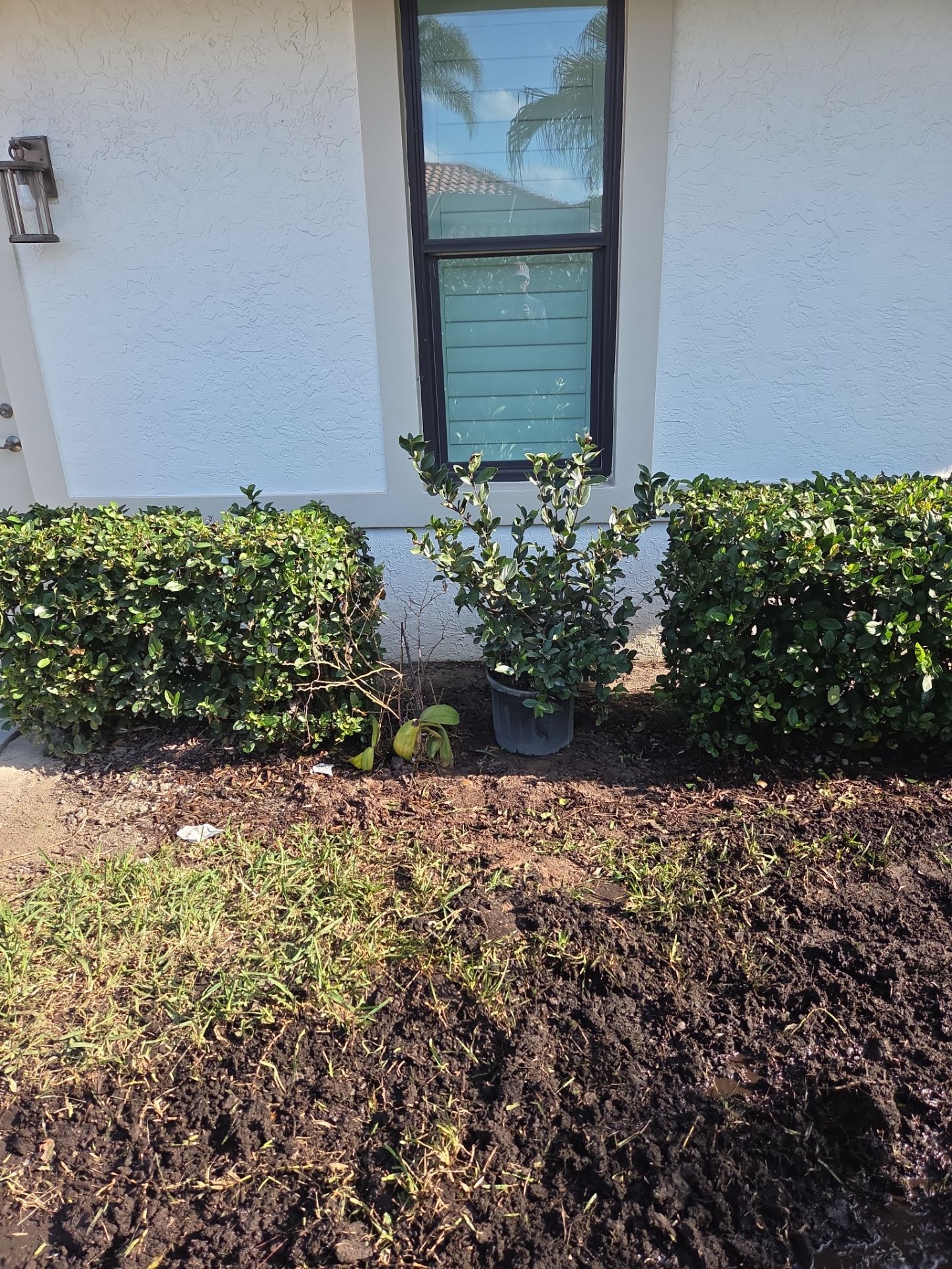 Harbour Ridge Backyard Revival by Alpha Zeta Enterprises Inc