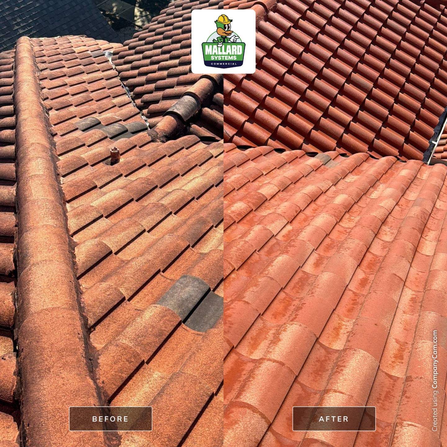 Tile Roof Cleaning in Celebration by Mallard Systems