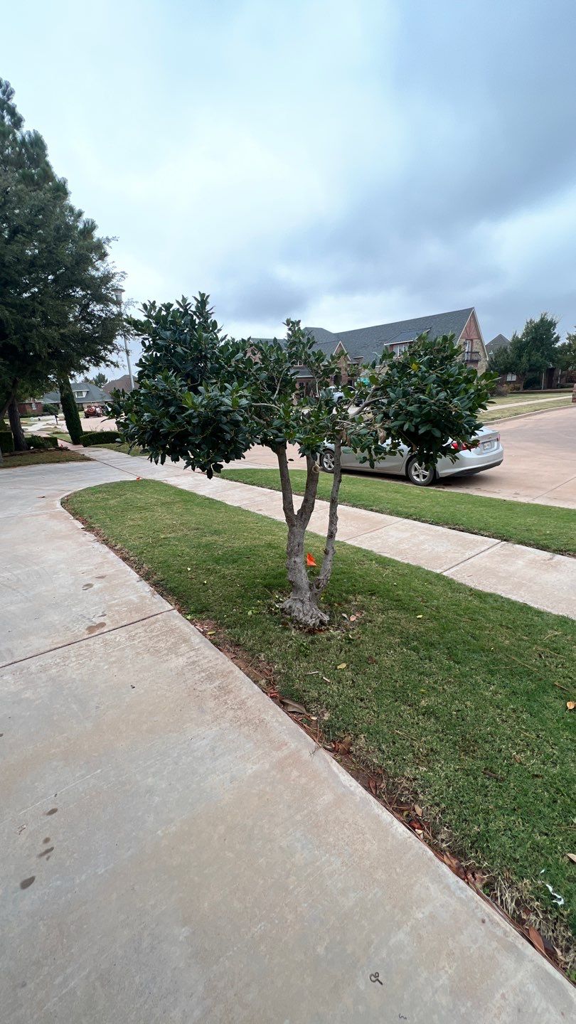 Landscape  by Clays Services Inc