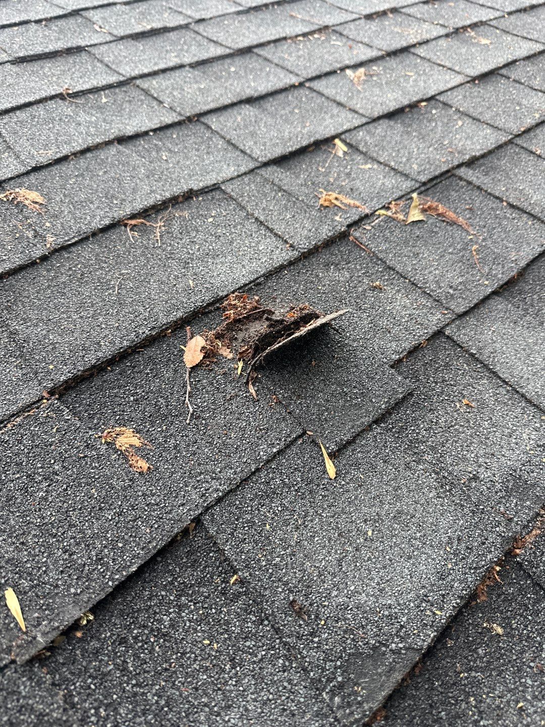 Residential Roofing Repair using Owen's Corning Duration (Lifetime) Shingles by Roof Repair Company