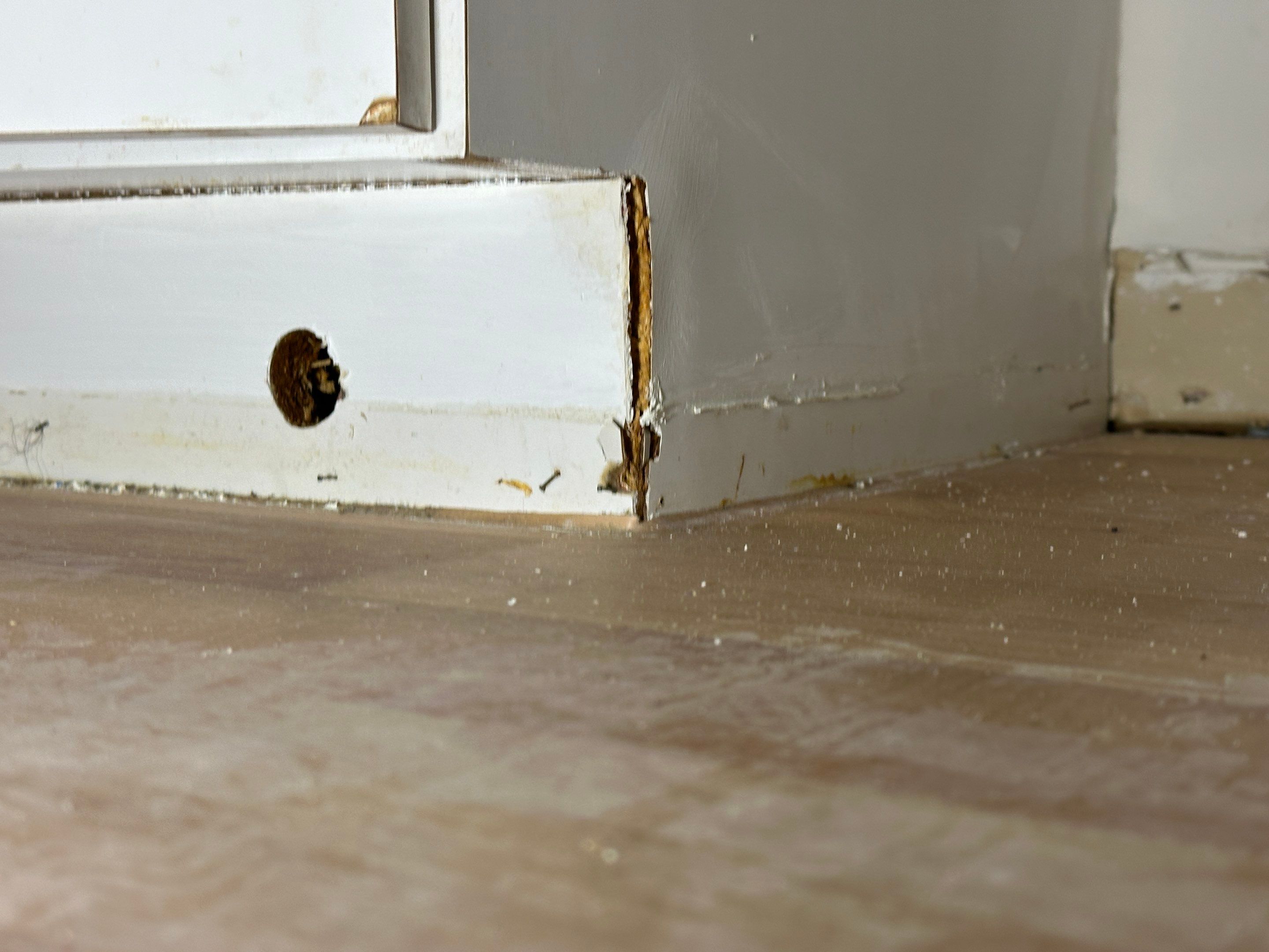 Water Damage Claim in Tallahassee by FLAPA & KeyStone