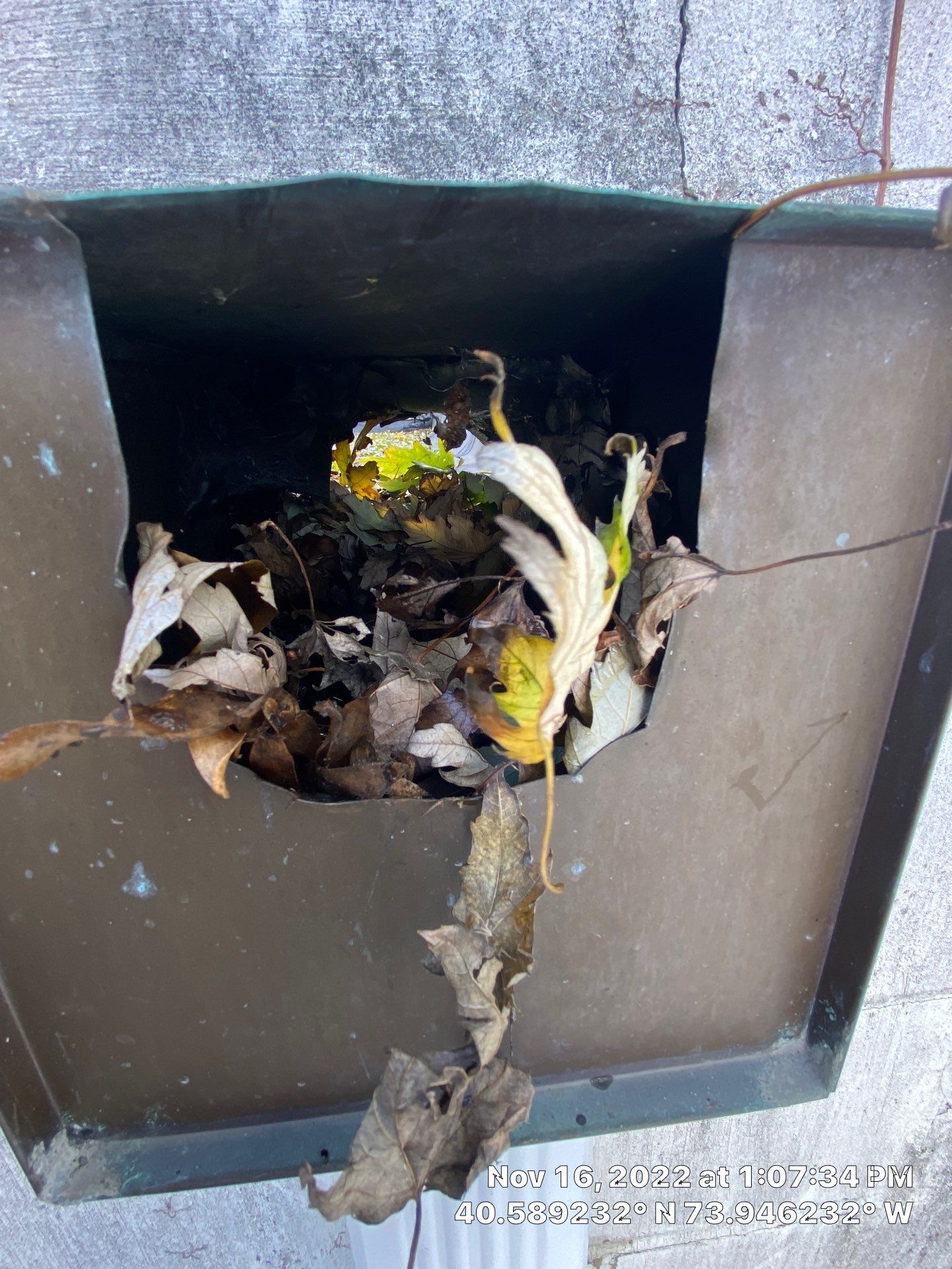 Flat Roof Cleanup Brooklyn by Above All Gutters