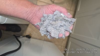 Dryer Vent Lint Removal and Connection Review — Clermont