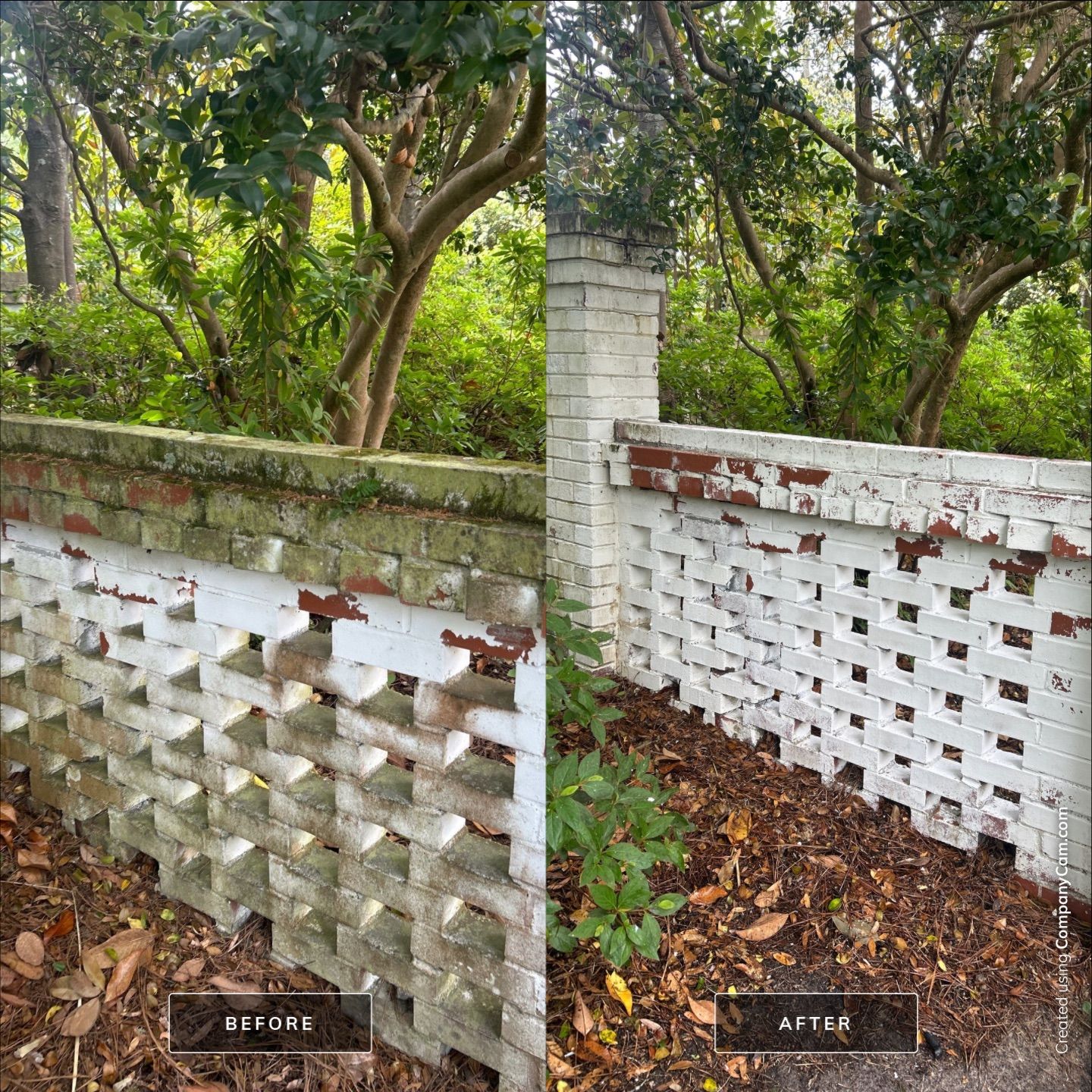 House Washing in Wilmington by Shark Power Washing