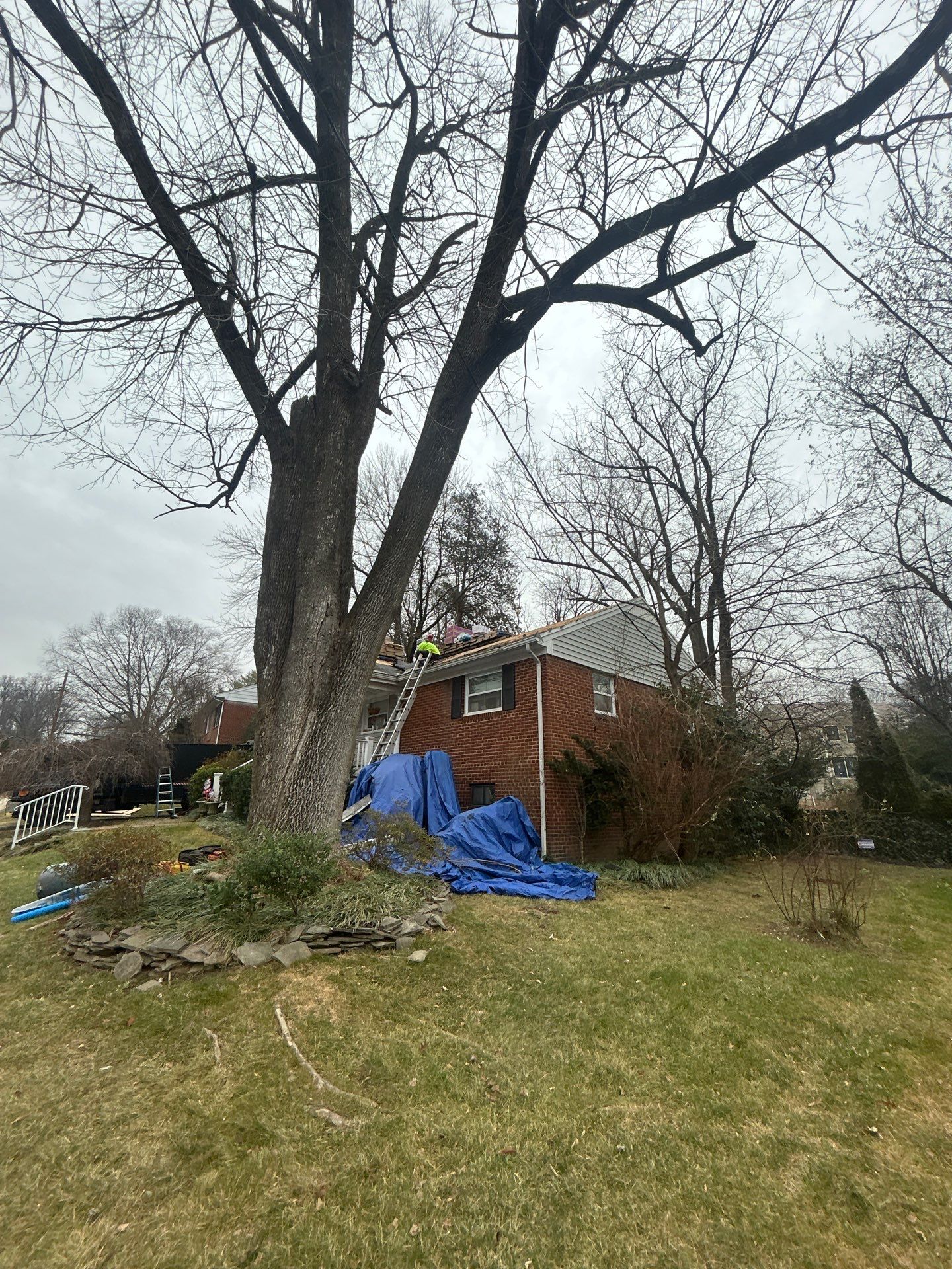 Arlington :Residential Roof Replacement with CertainTeed Landmark Pro in Max Def Red Oak  by RM Banning, Inc.