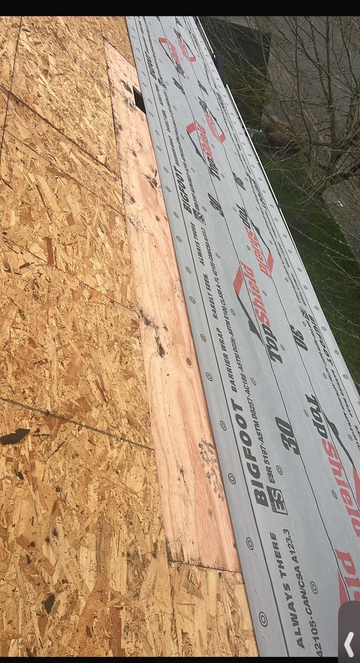 GAF Timberline NS, Pewter Gray  by Proline Roofing & Restoration LLC