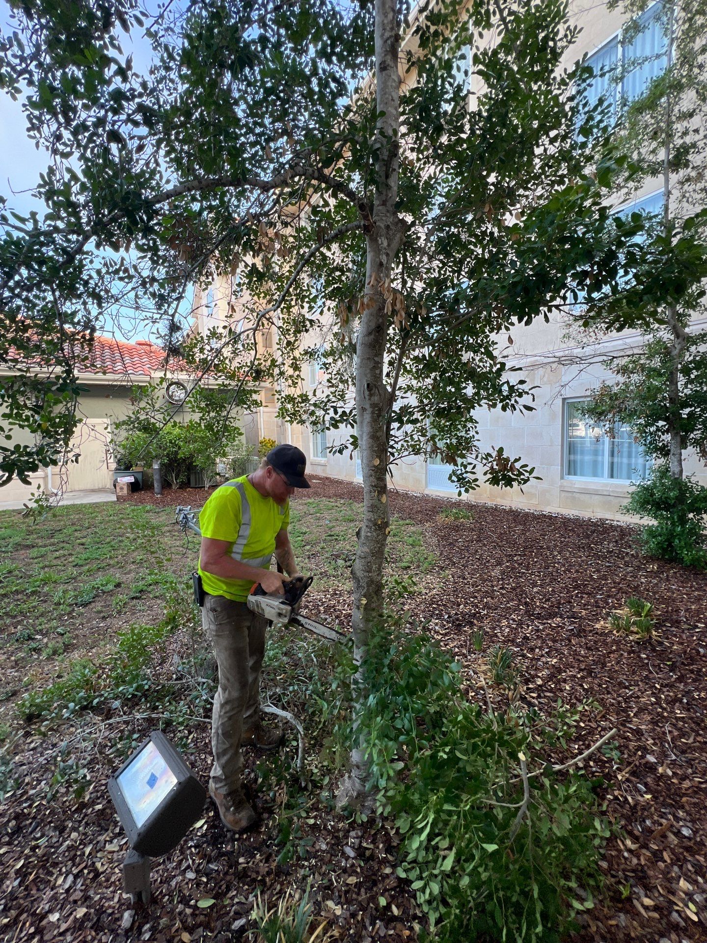 Homewood Suites | Tree Service by ProGreen Services