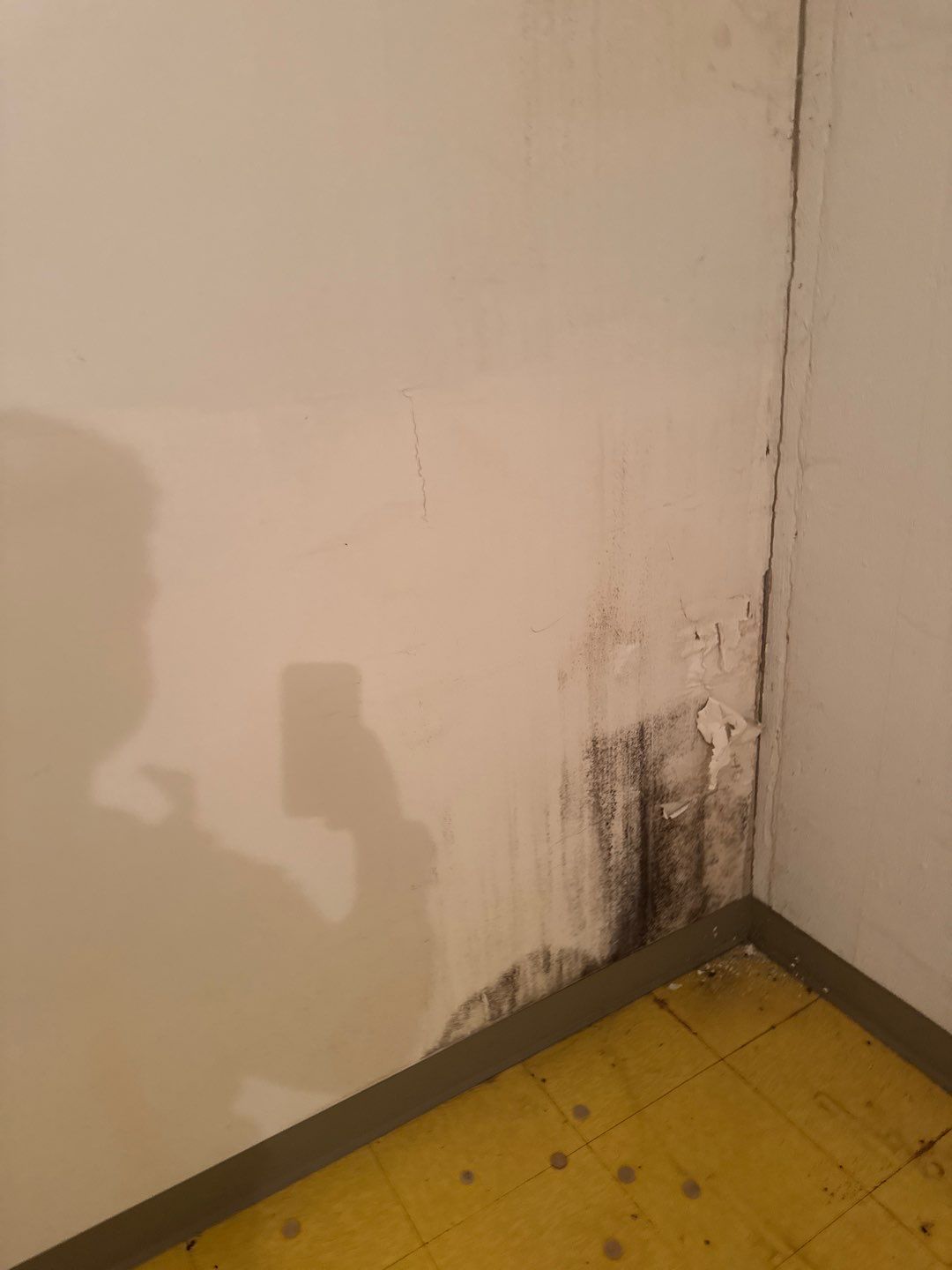 Project in Birmingham by EzDry Water Mitigation & Property Restoration