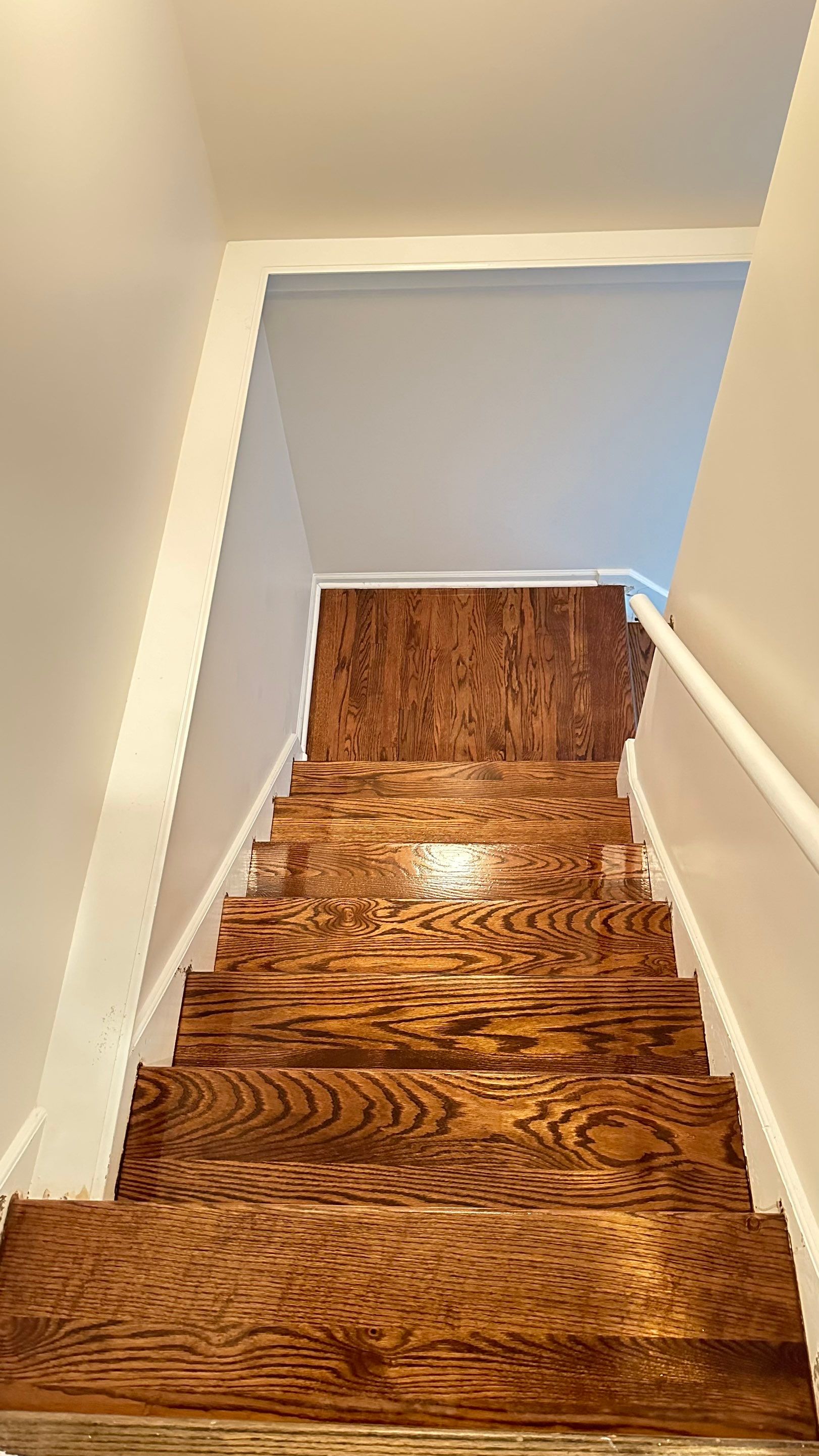 Stair Installation by Rippnfinish