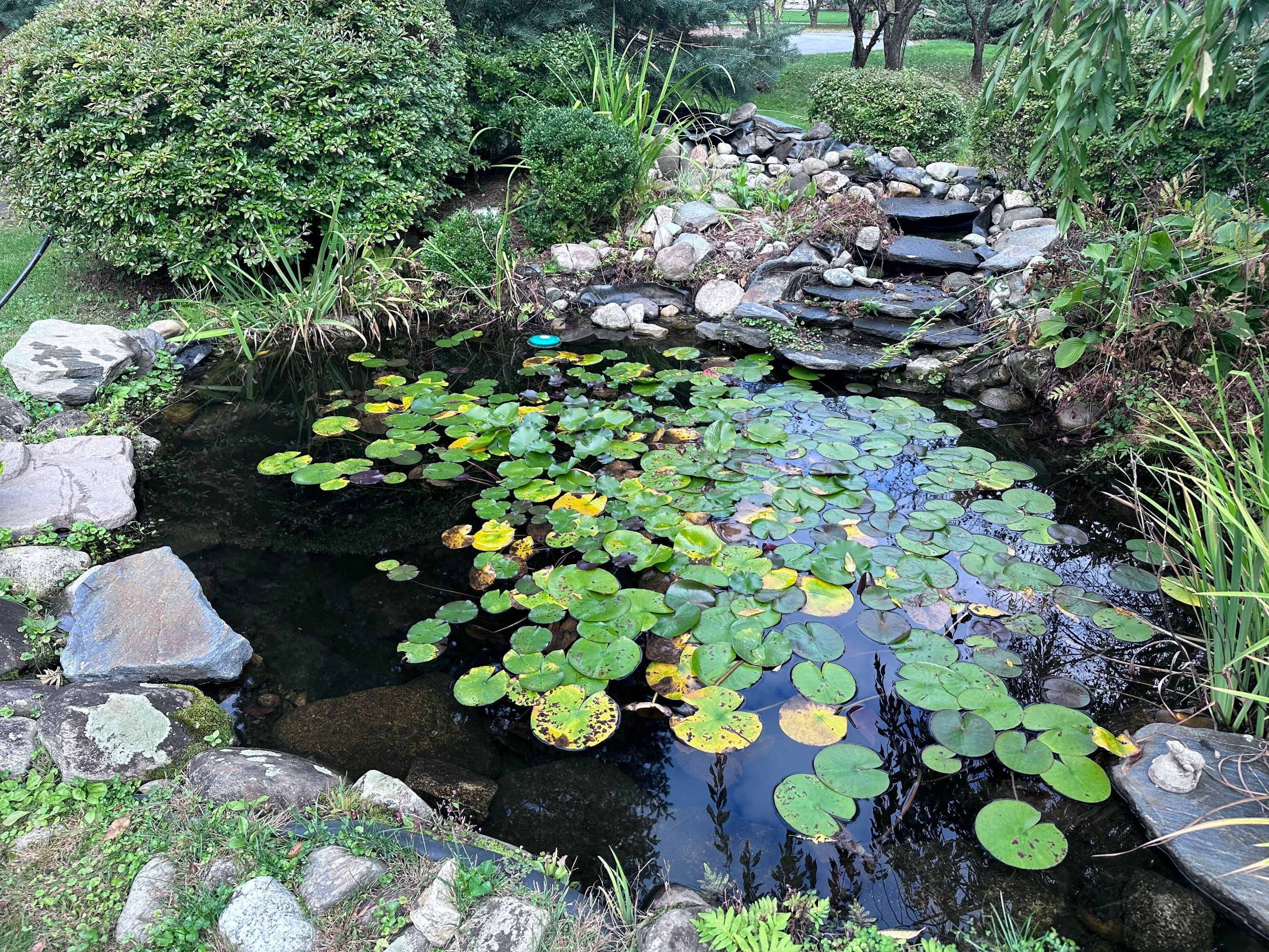 Waterfall Rebuild in Amherst by Wicked Water Gardens