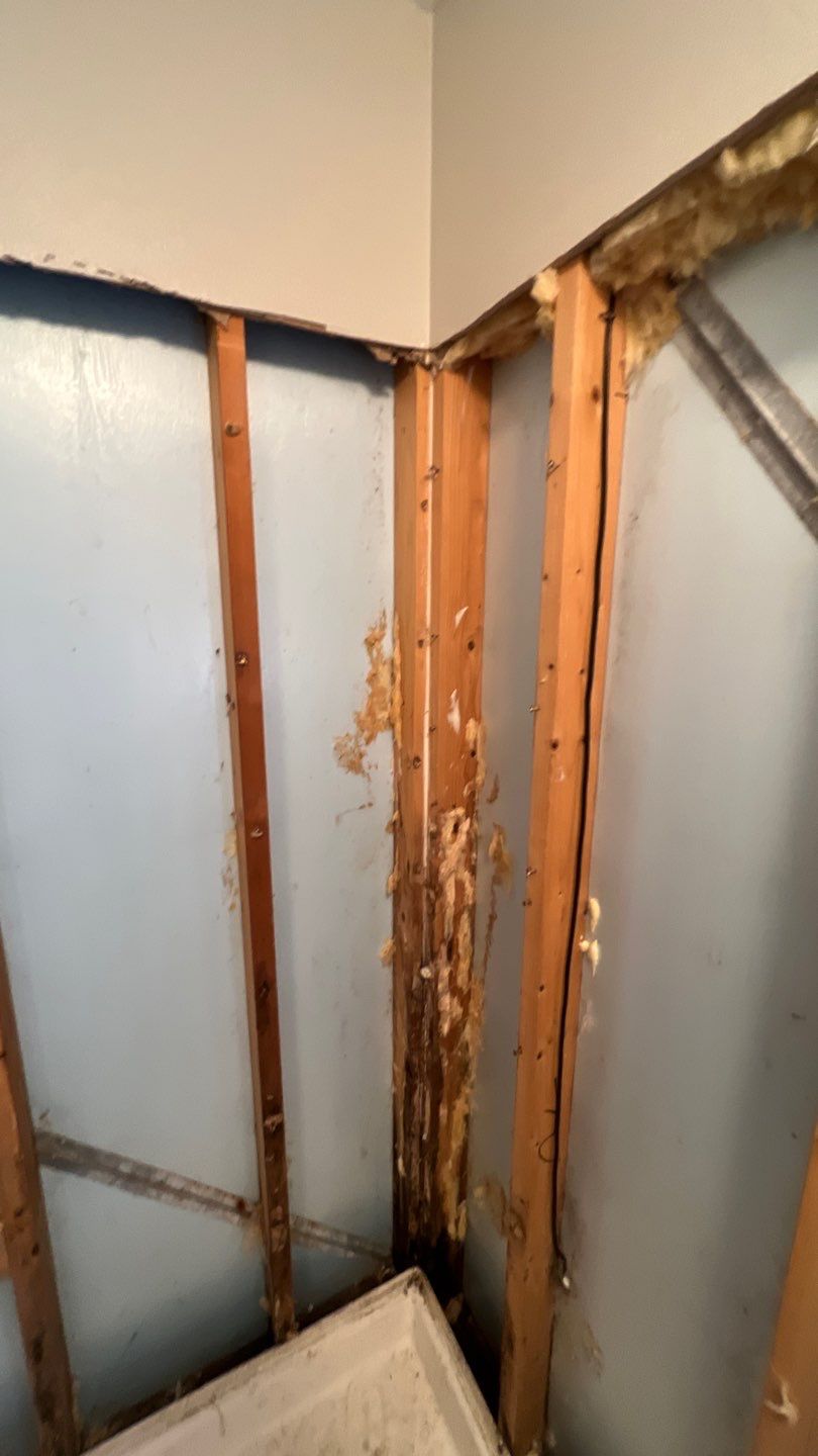 Water Damage and Mold Remediation by Accountable Home Services