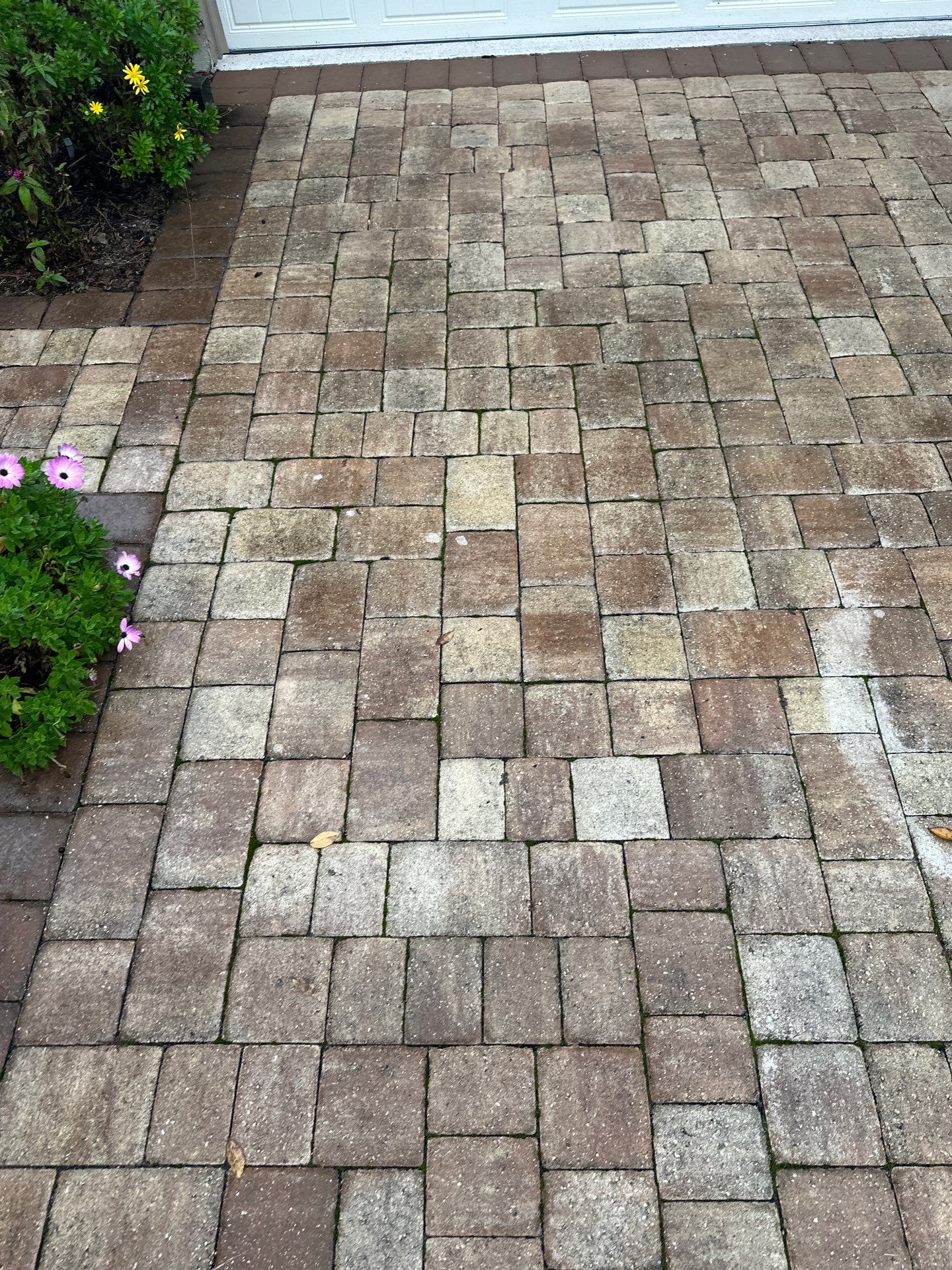 Pavers using Concrete Sealant by DuraSeal