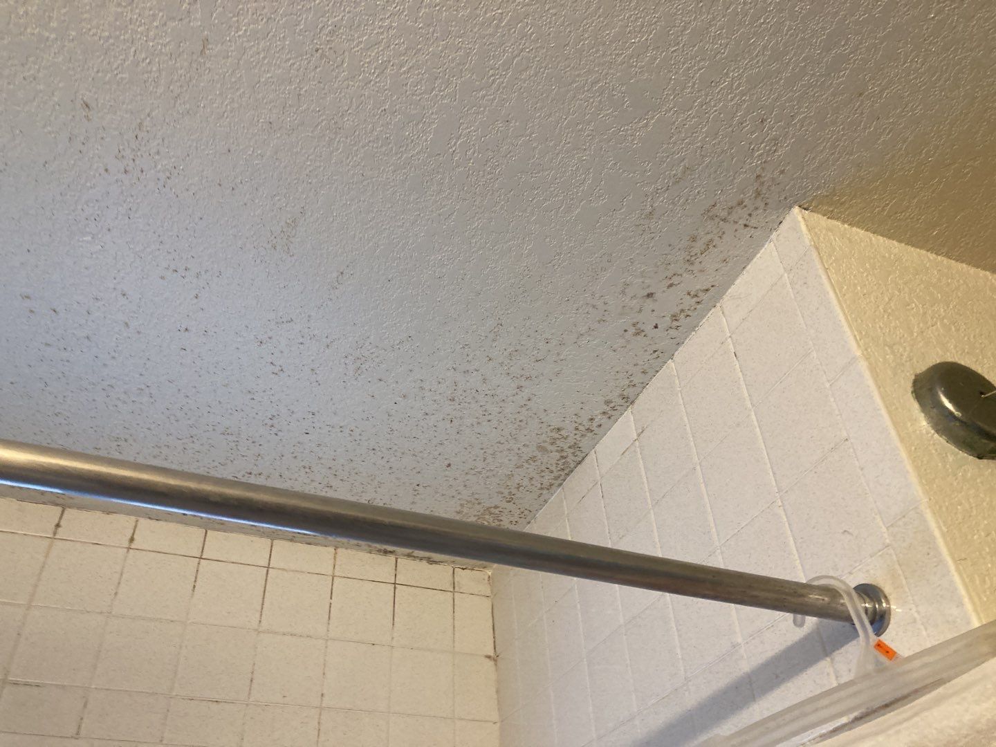 Mold Remediation in Bathroom by Accountable Home Services
