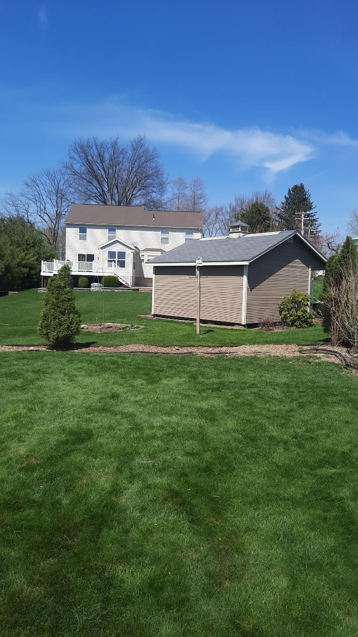 Tree Removal using Tree Removal by Mike Jones & Sons Tree Service LLC 