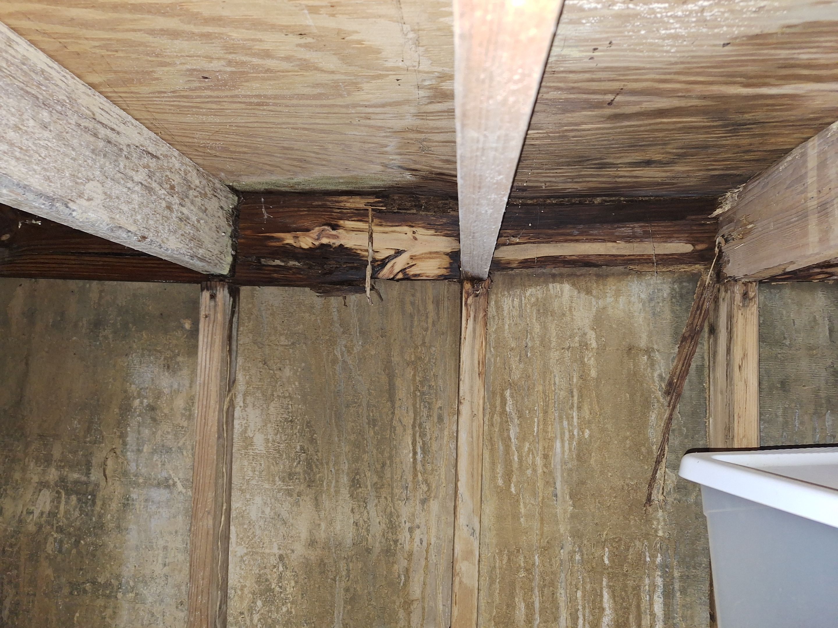 Basement Remediation by ANR Restoration