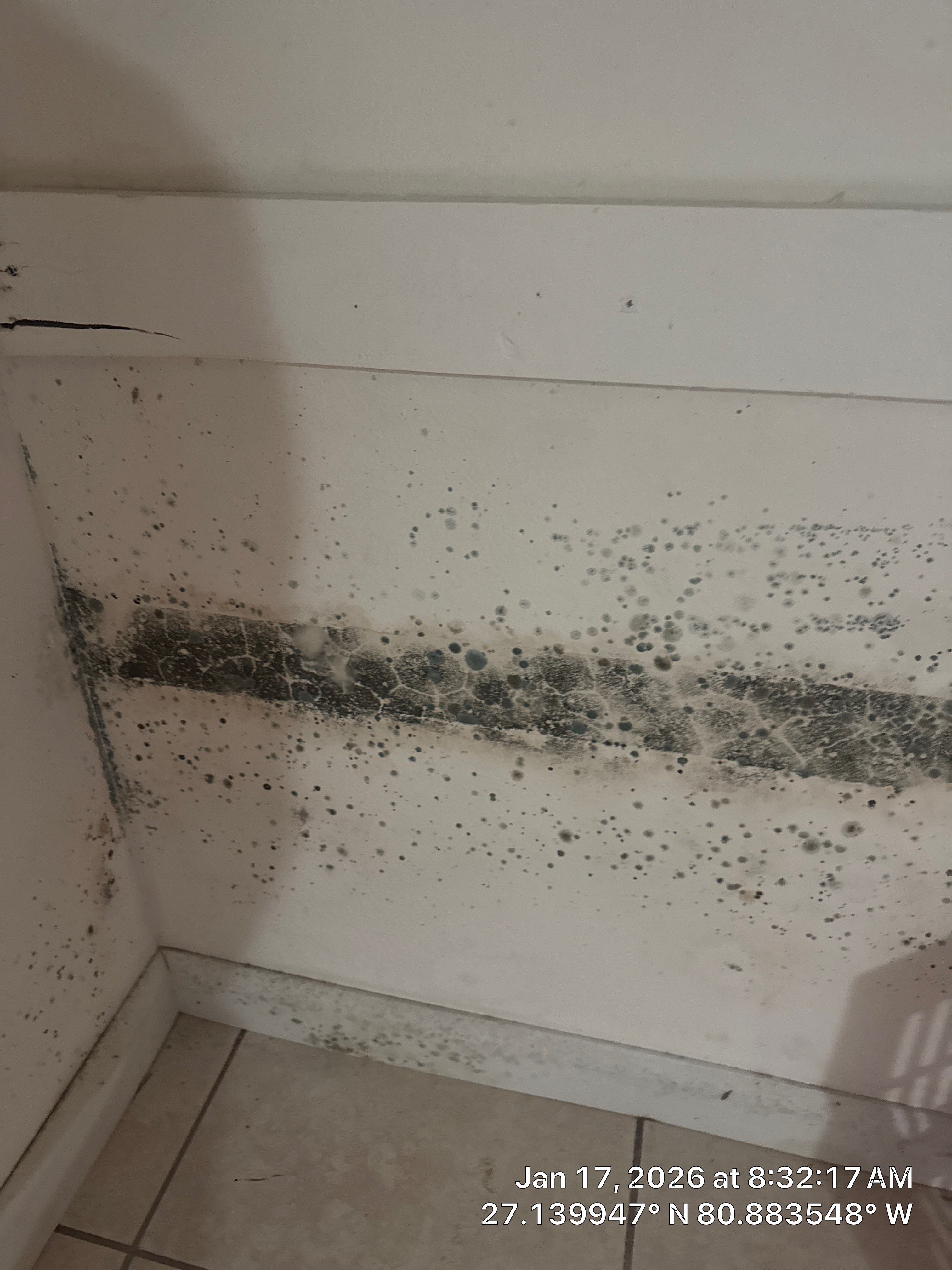 Mold Remediation by SuperClean 