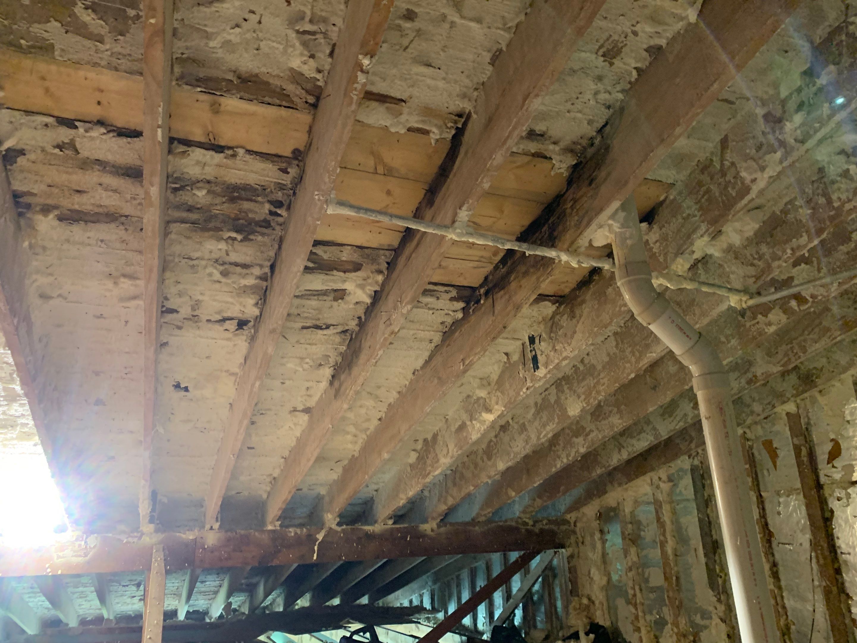 Attic Mold Remediation in Goshen, KY by ANR Restoration