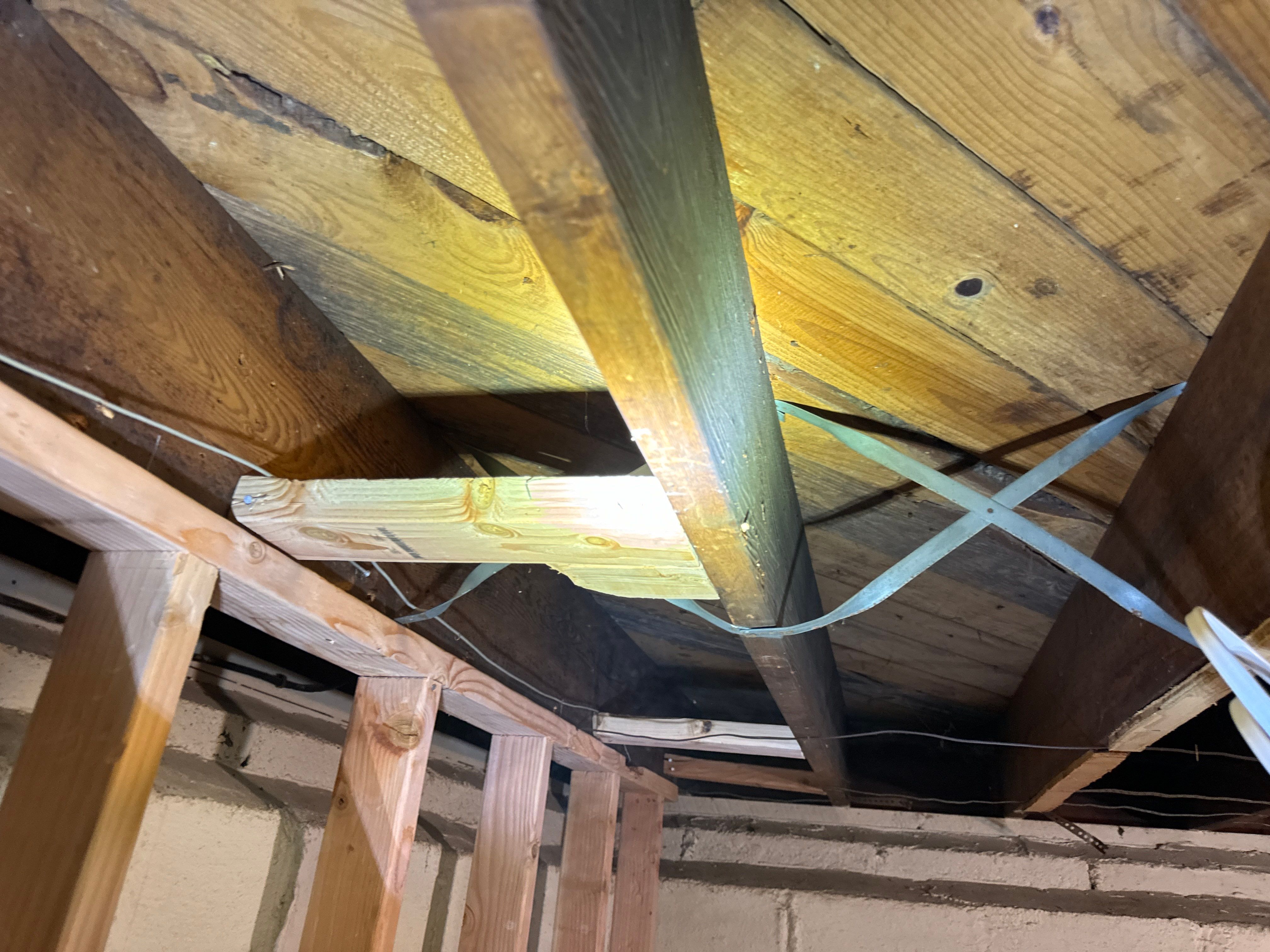 Interior French Drain & Mold Remediation Little Falls NJ by Pure Service Pro, LLC 