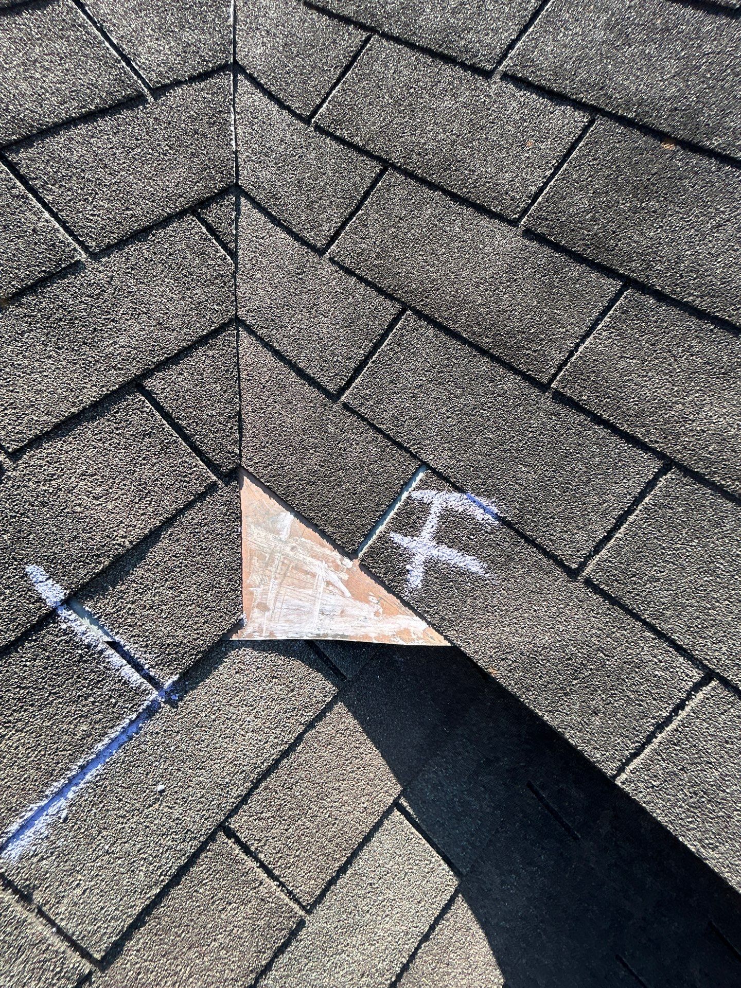 Miss Bridgette by REPS Austin Area Roofer
