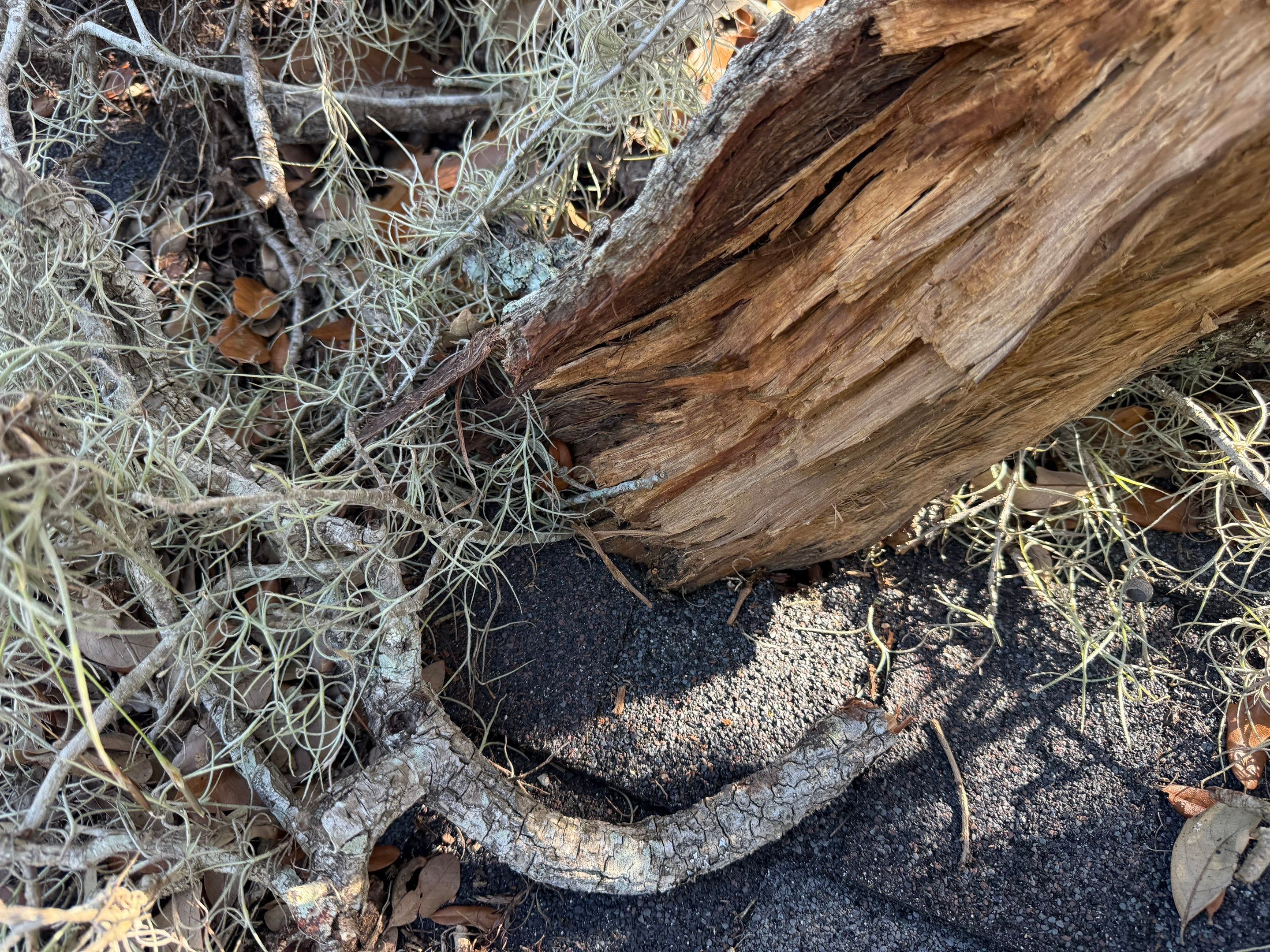 Project in Lakeland by You Restorations LLC DBA YOU-Home