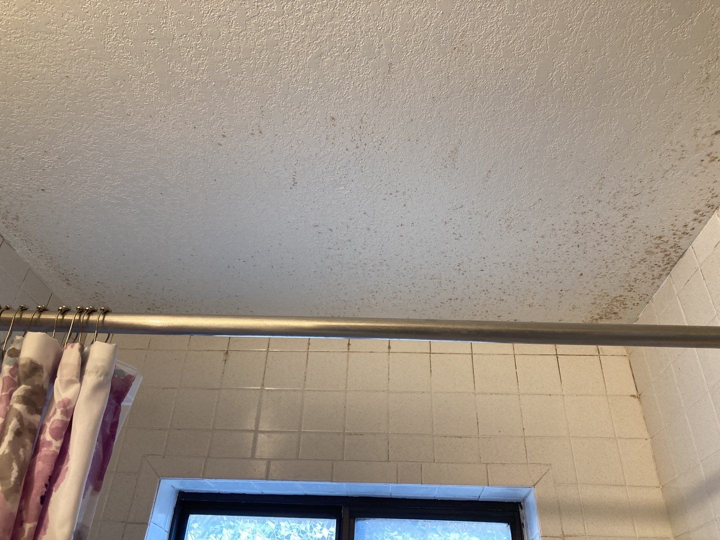 Mold Remediation in Bathroom by Accountable Home Services