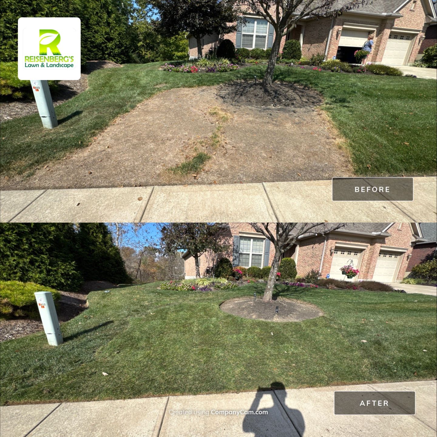 Sod Restoration by Reisenberg’s Lawn & Landscape, LLC