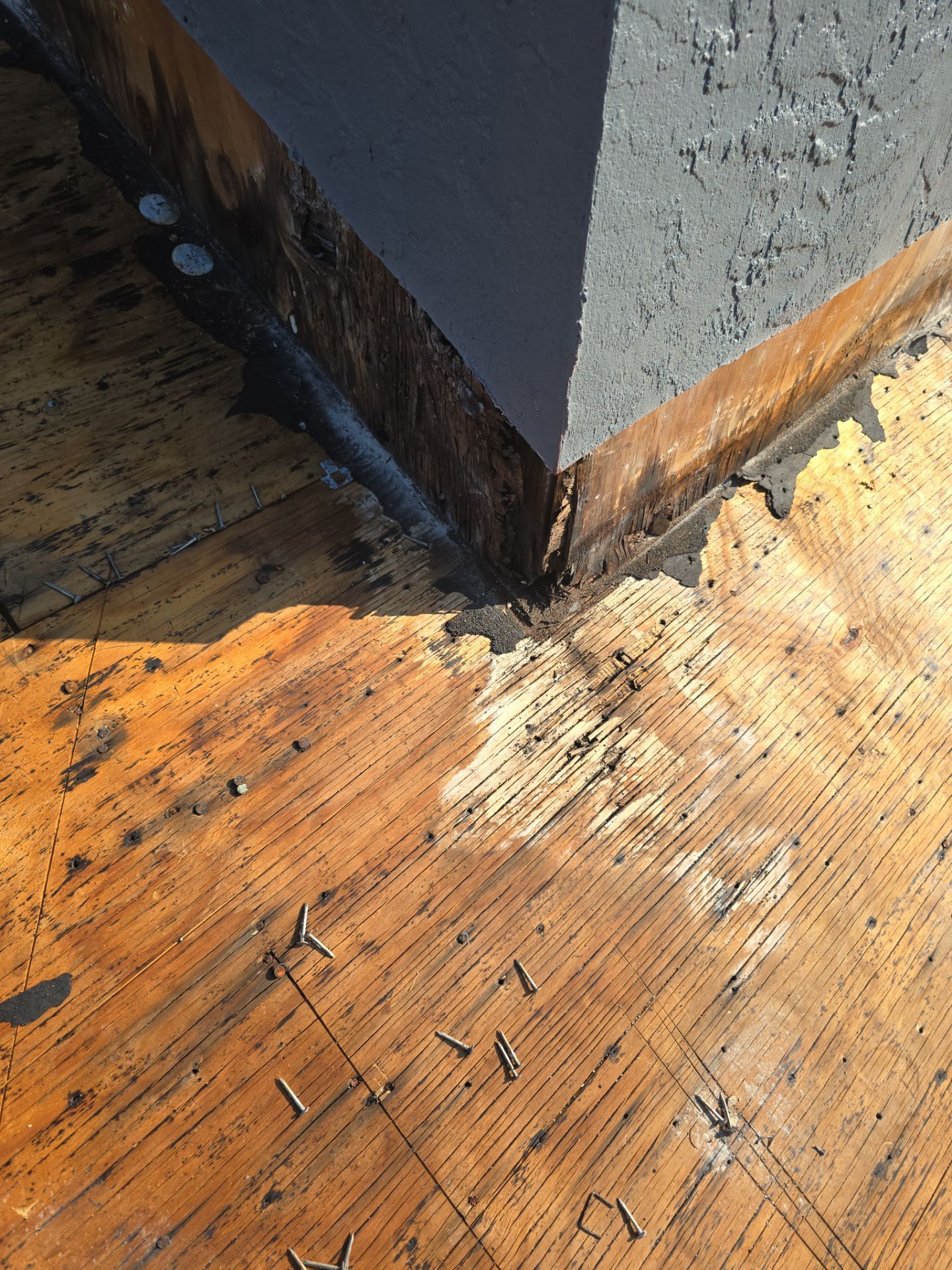 Roof Replacement in Riverview, FL by Shingle Masters Roofing