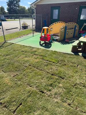 Sod installation