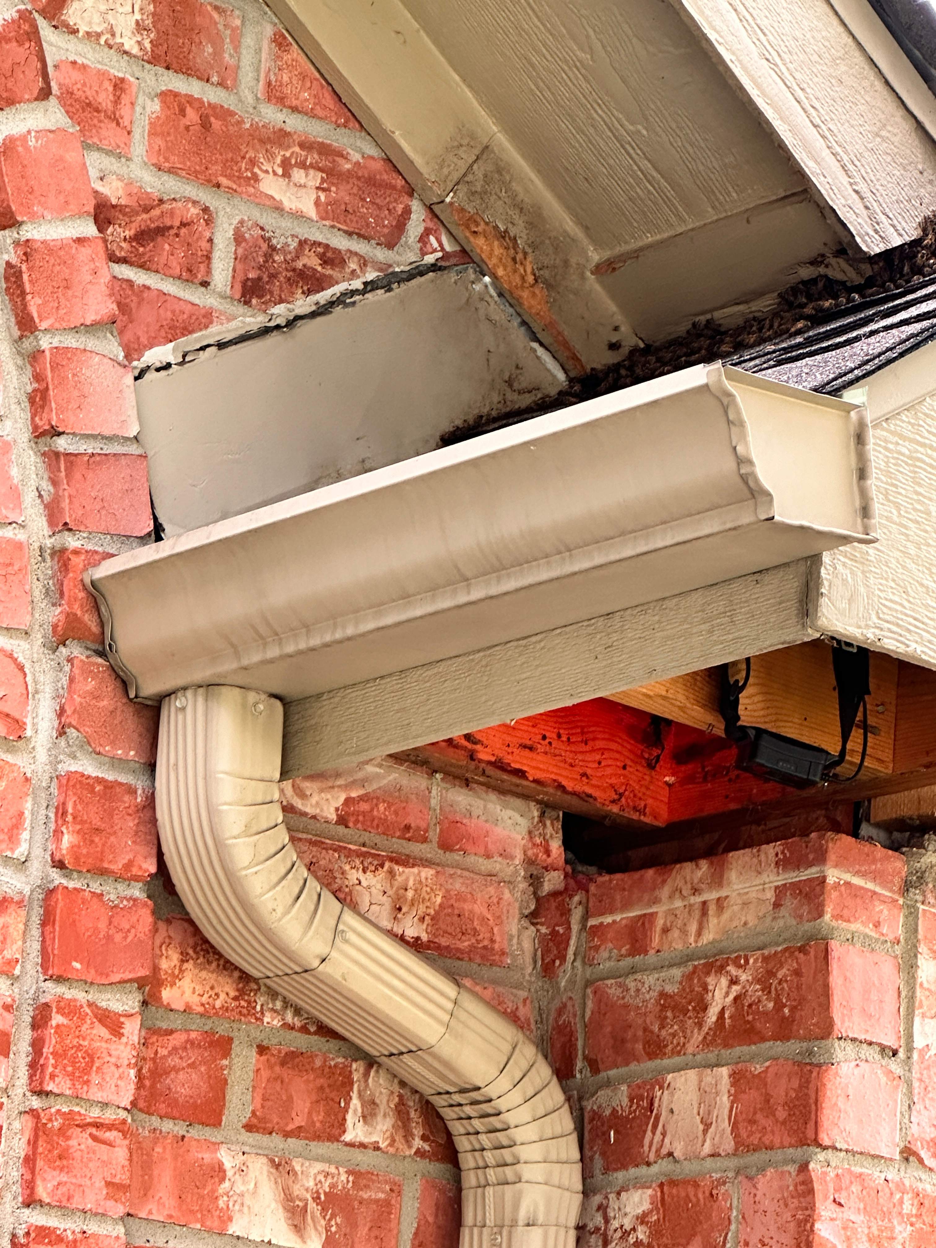 Yes, Professor. by Rockwall Honey Bee Company